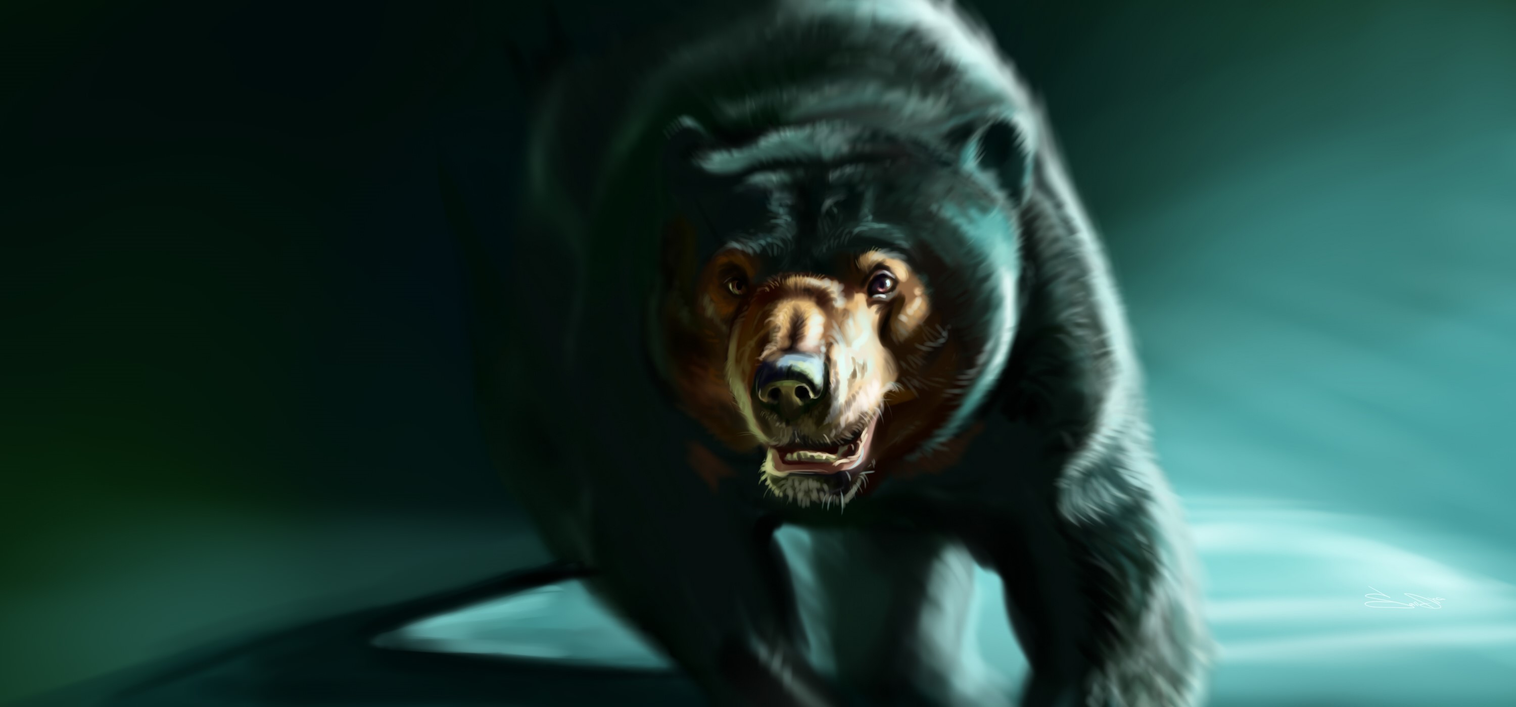 Painting of a sun bear running towards the viewer HD Wallpaper