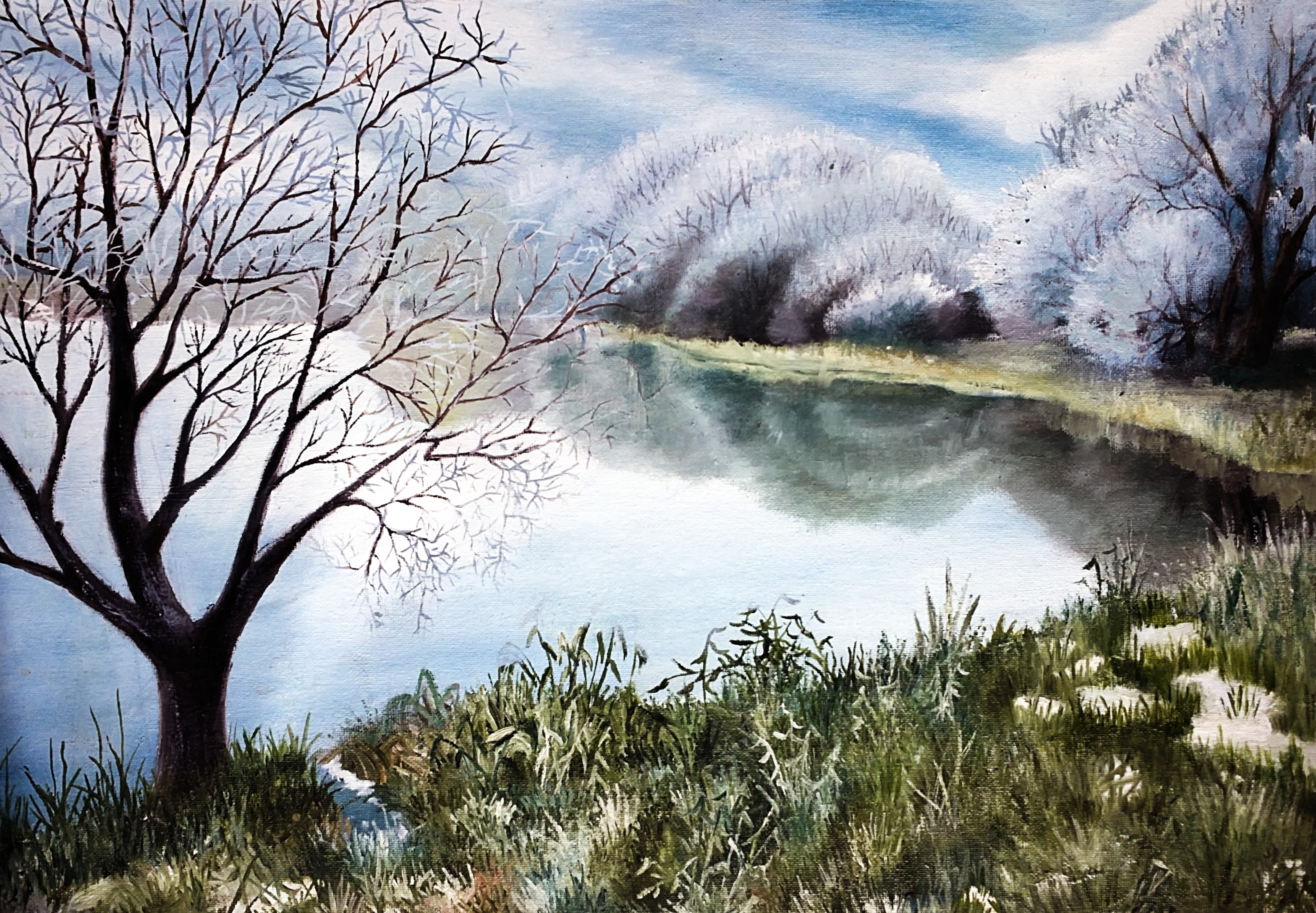 Winter lake with bare trees and snow HD Wallpaper