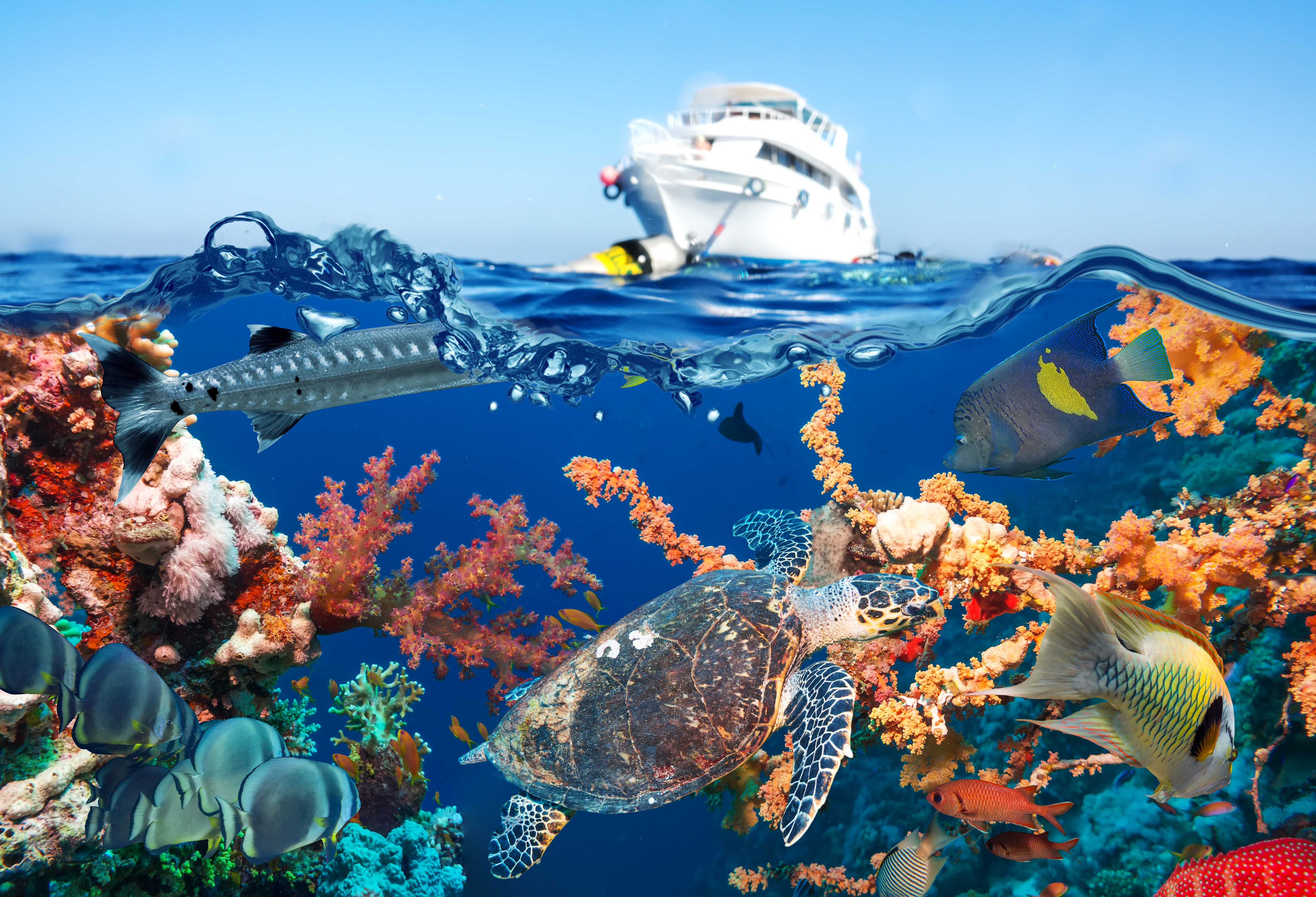4K Underwater World with Corals, Fish, and Ships HD Wallpaper