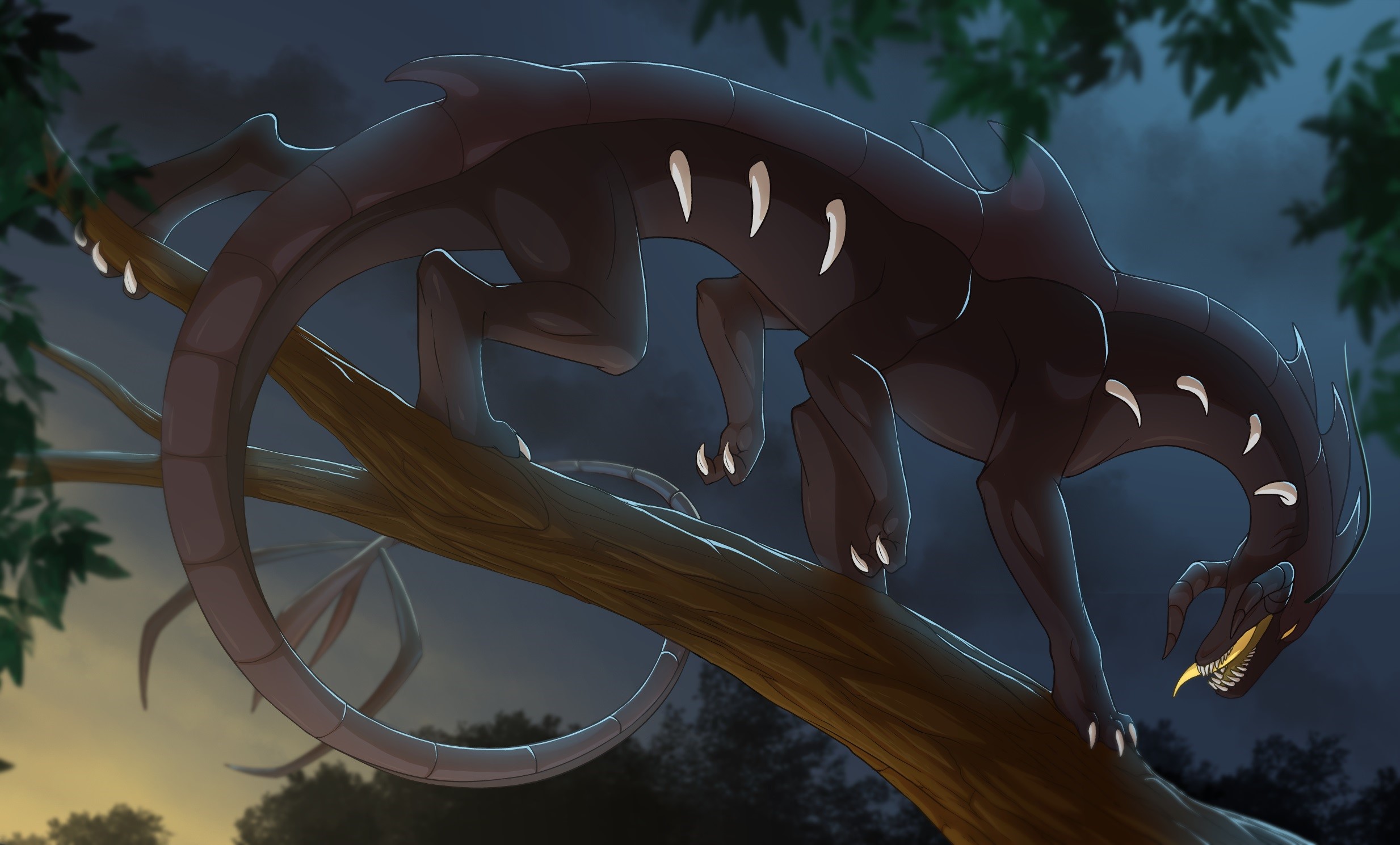 Dark dragon on a tree branch at night HD Wallpaper