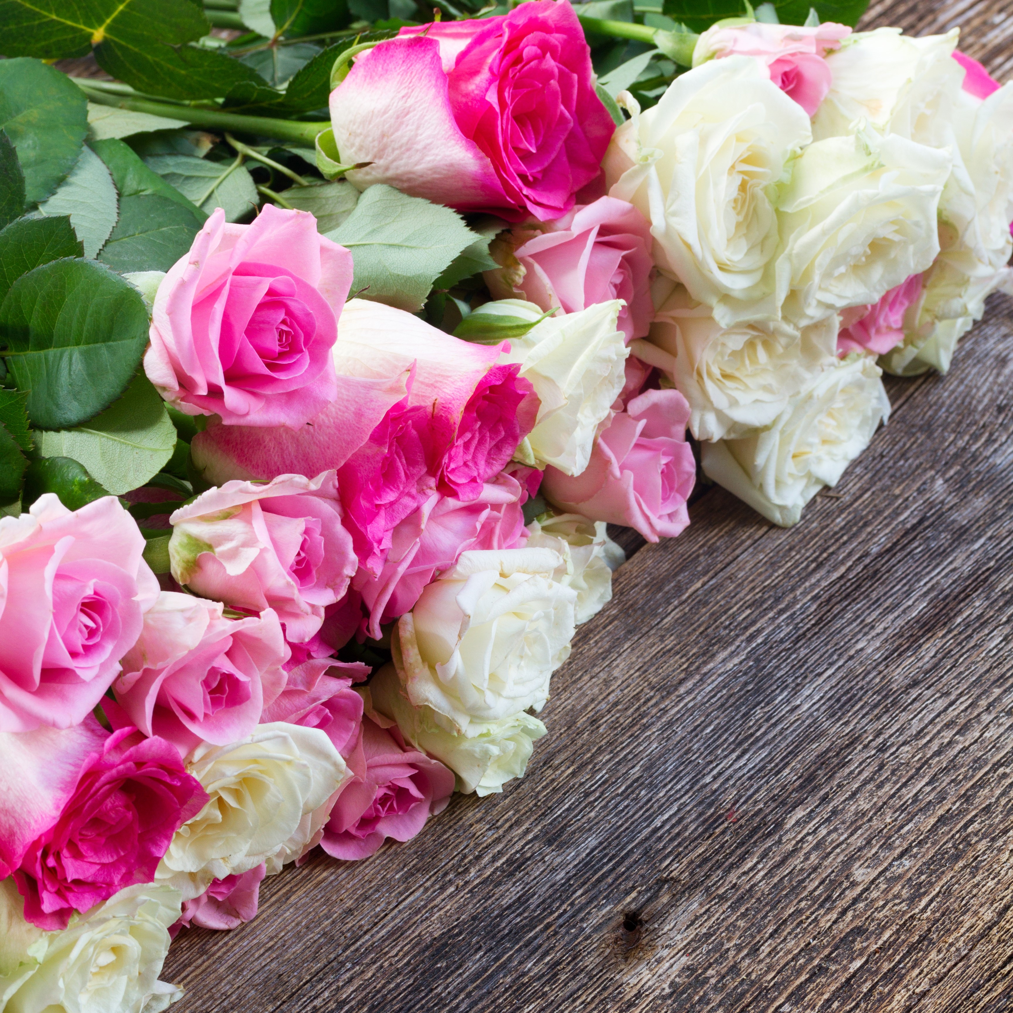 Pink and white roses on a wooden table HD Wallpaper