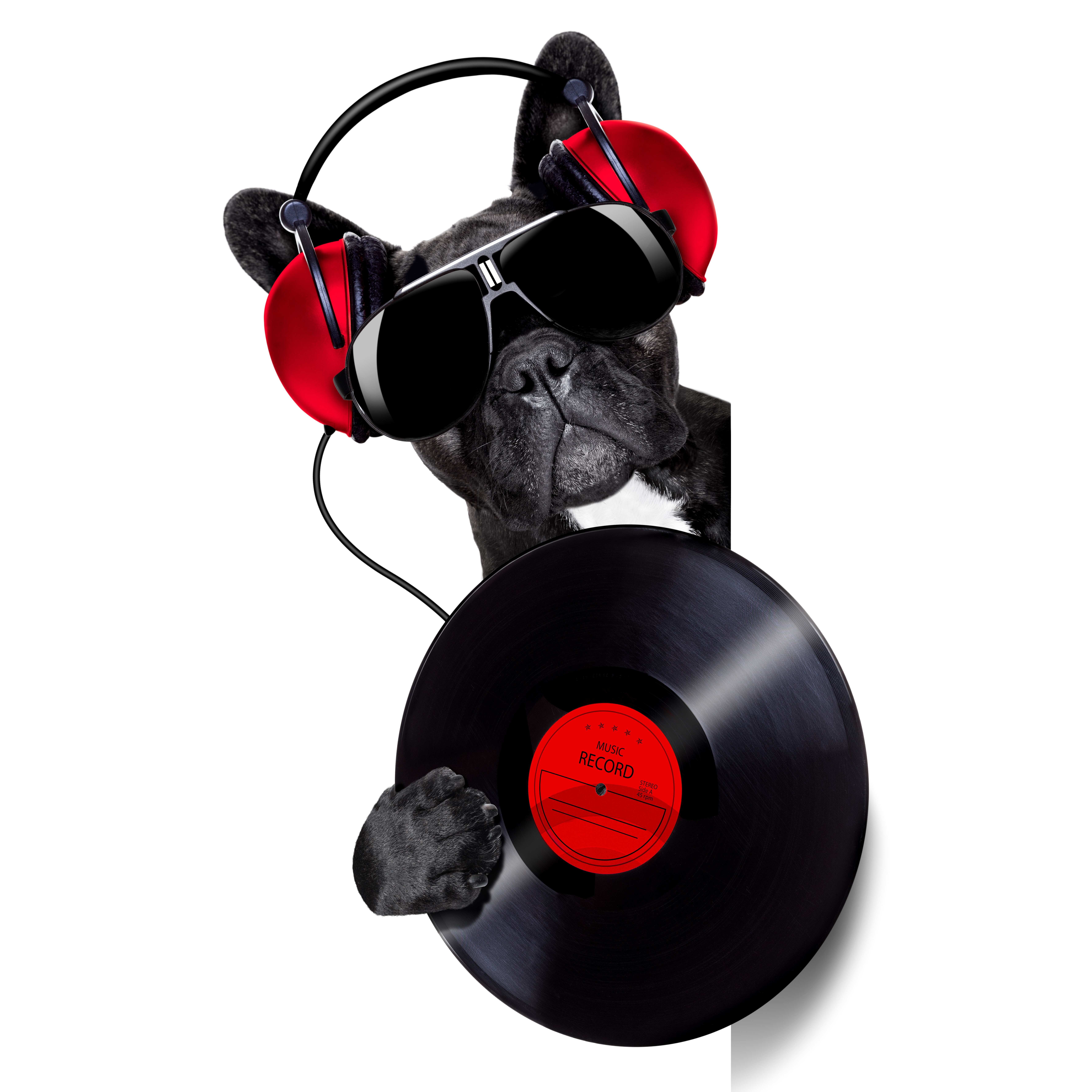 French Bulldog DJ with Headphones and Vinyl Record HD Wallpaper