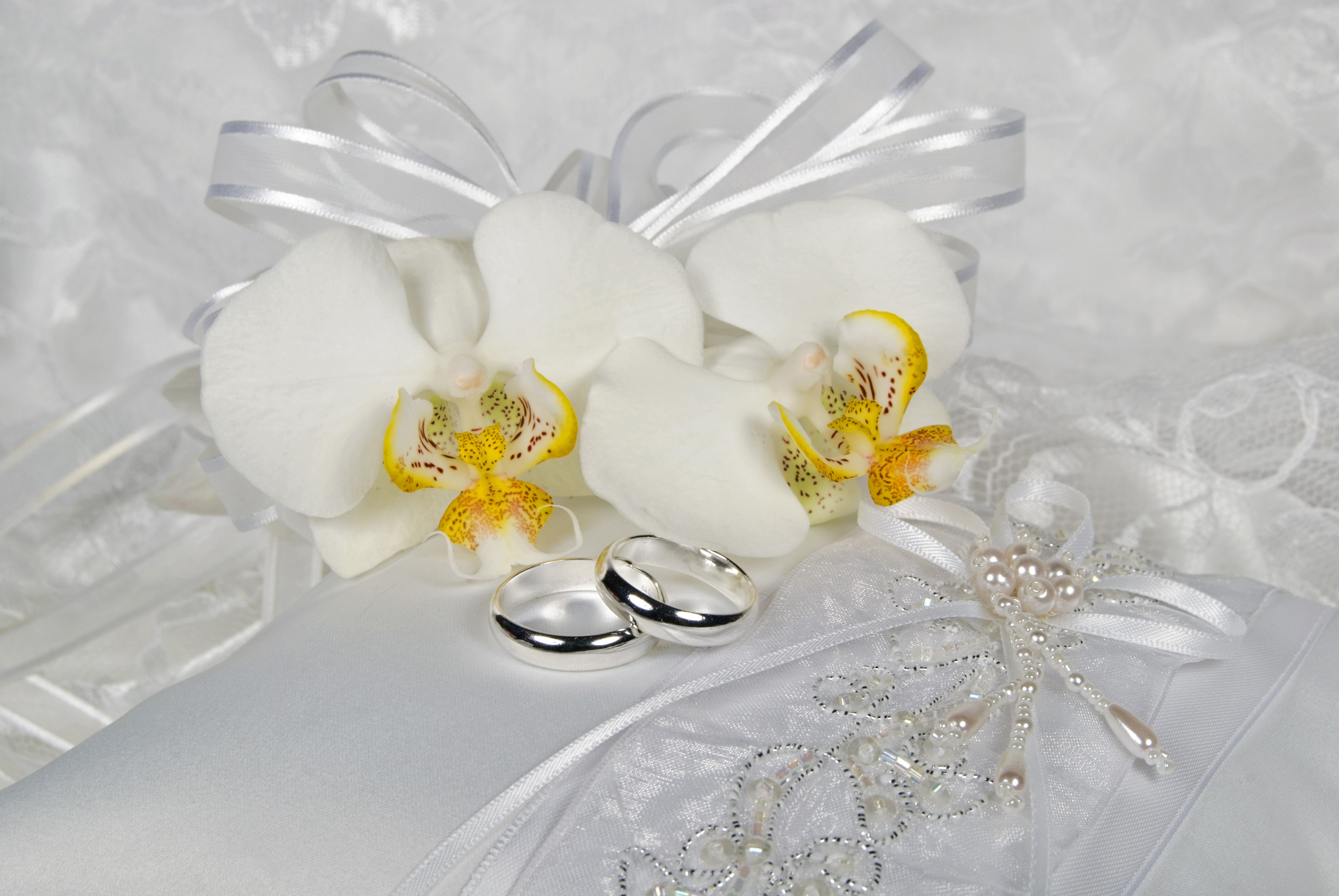 Wedding Rings with White Orchids and Pearls HD Wallpaper