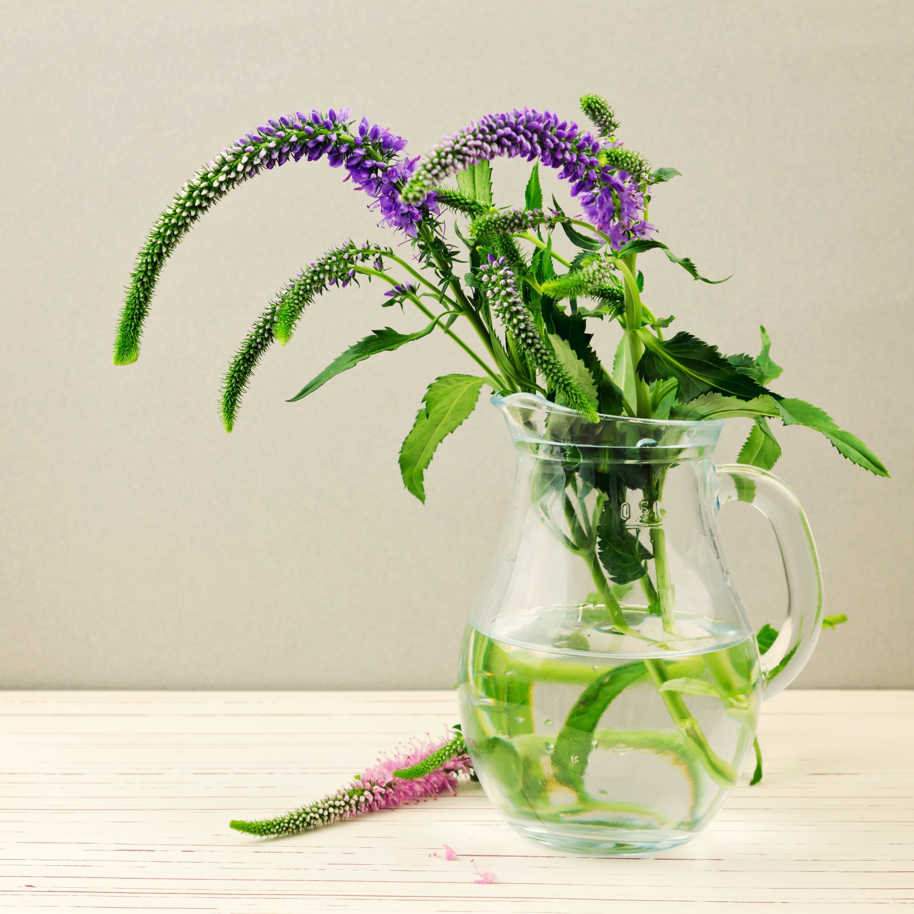 Purple flowers in a glass jug HD Wallpaper