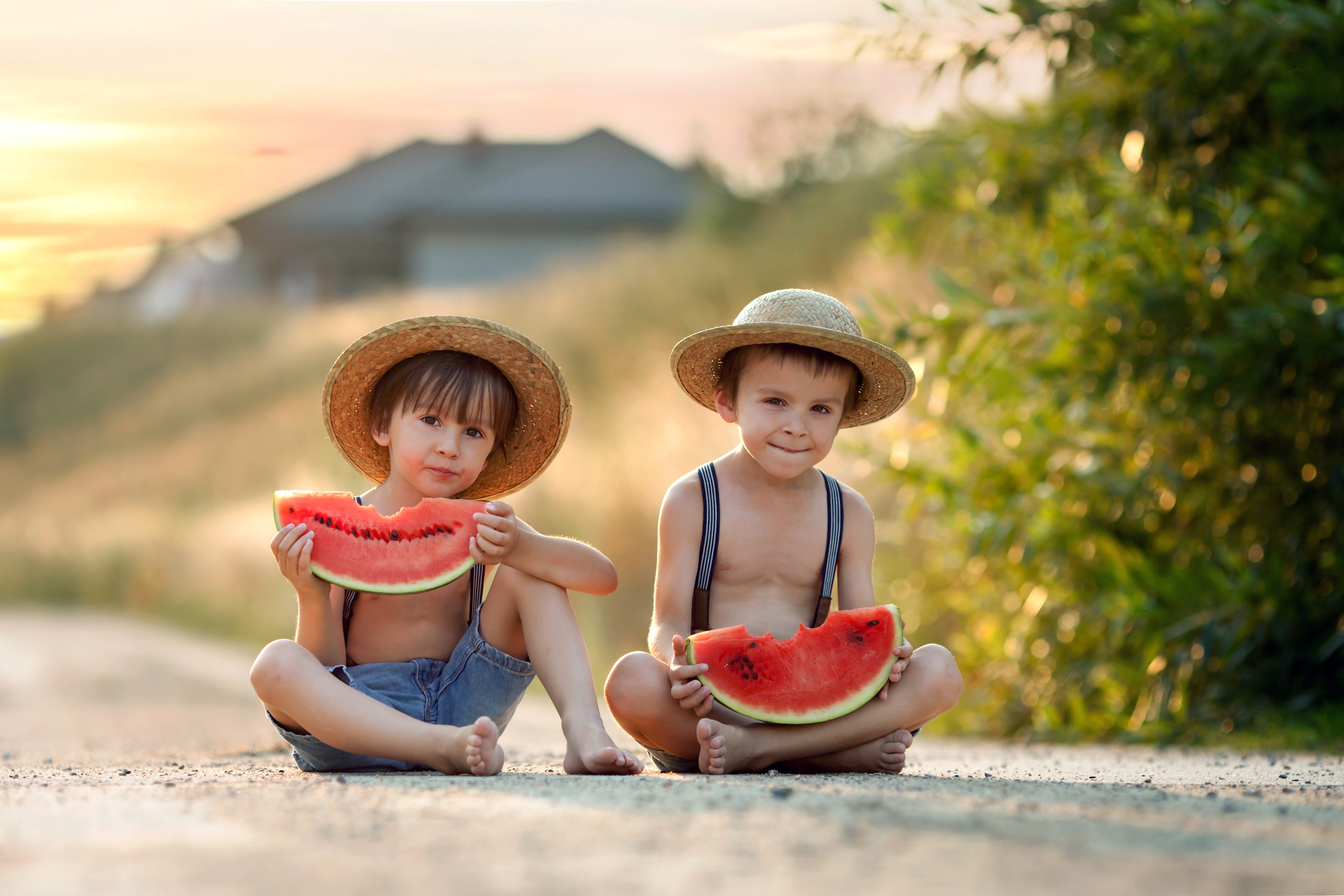Two Boys in Straw Hats Eating Watermelon HD Wallpaper