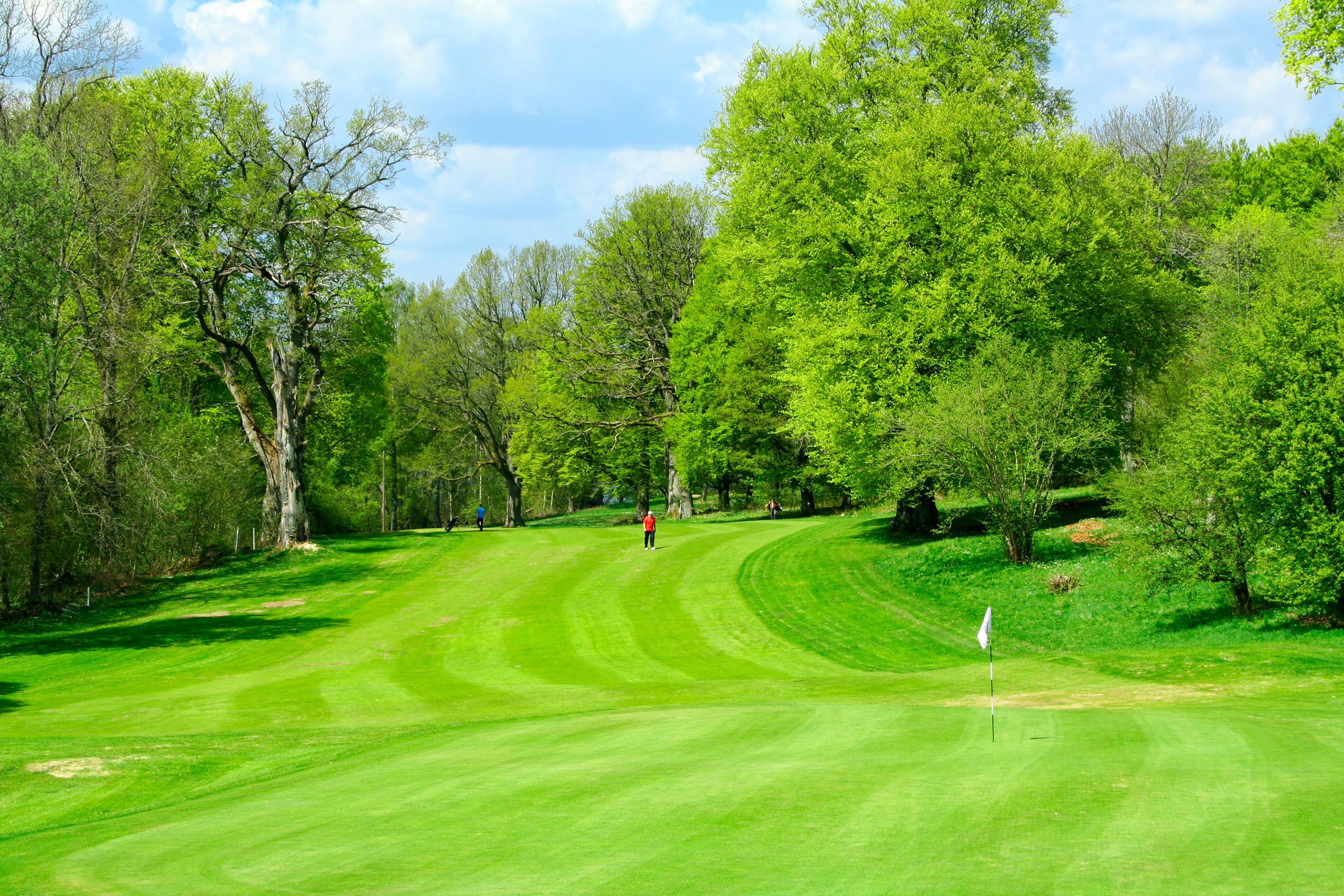 Golf course with trees and people HD Wallpaper