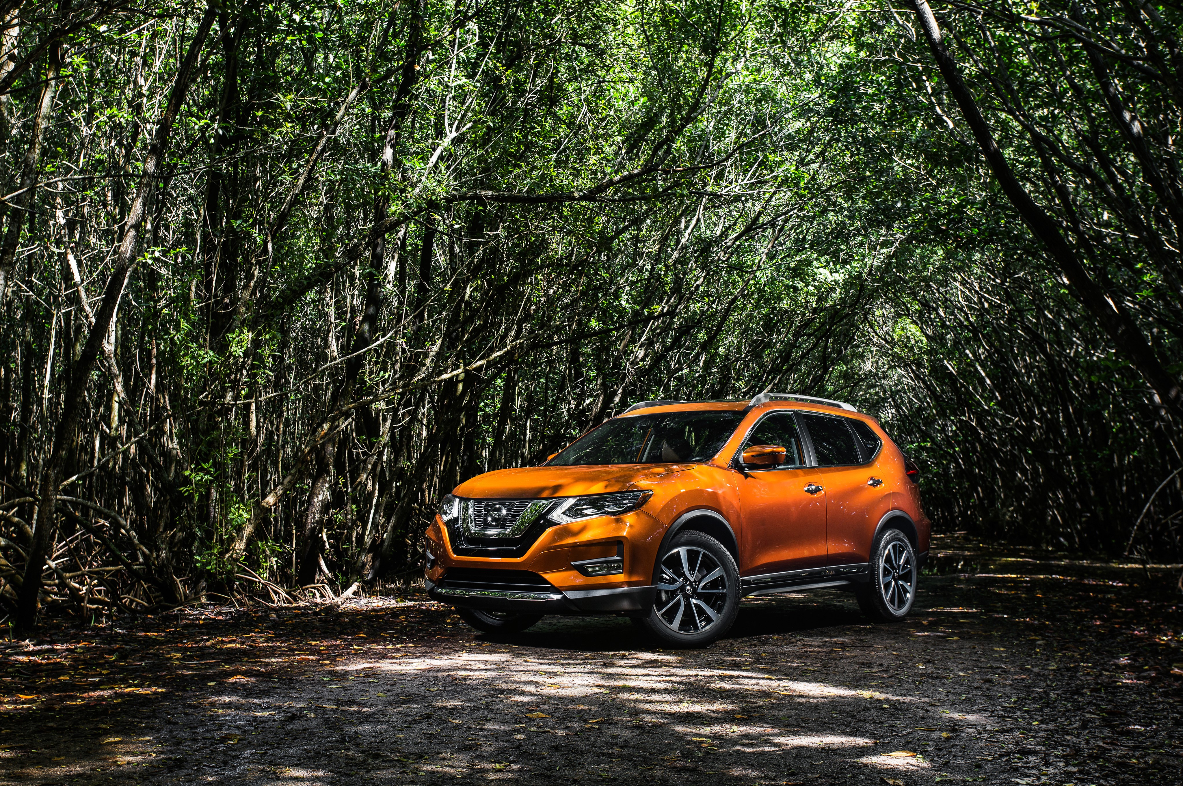 Orange 2017 Nissan Rogue in Forest HD Wallpaper