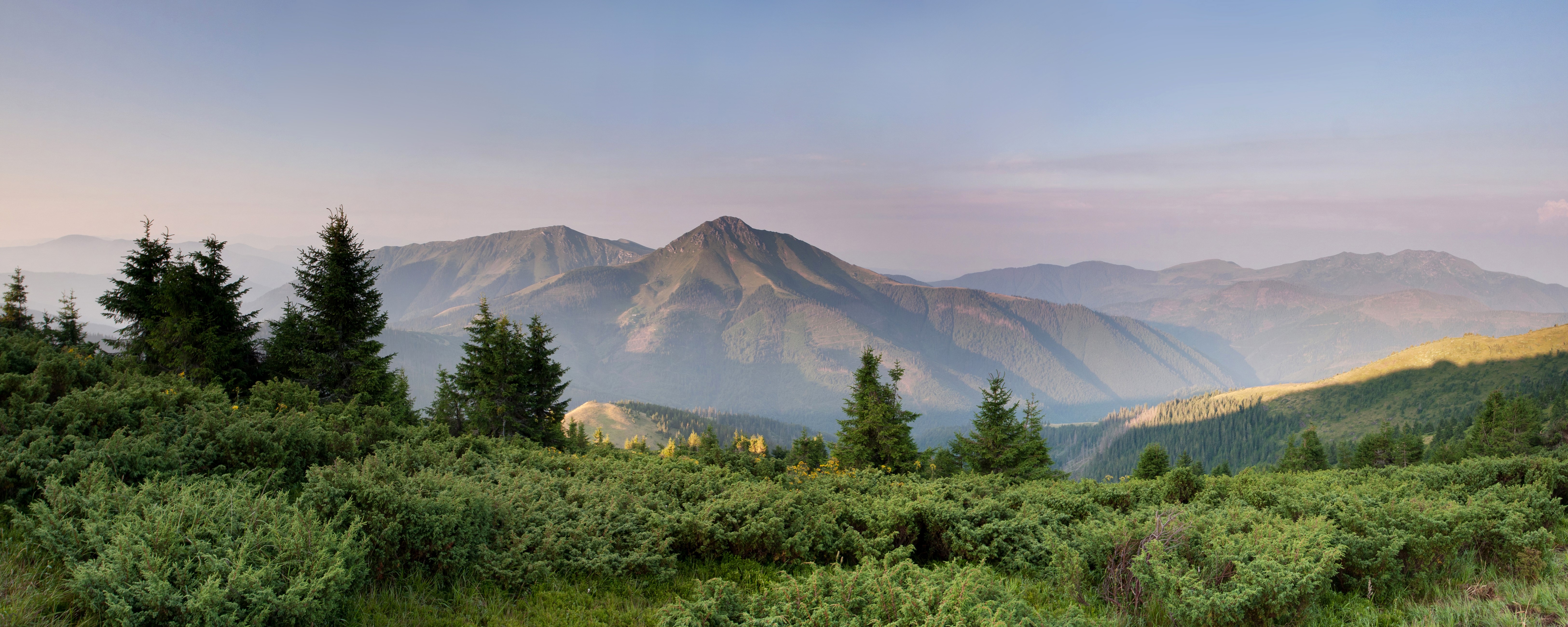 Mountains and shrubs in the Carpathians, Ukraine HD Wallpaper
