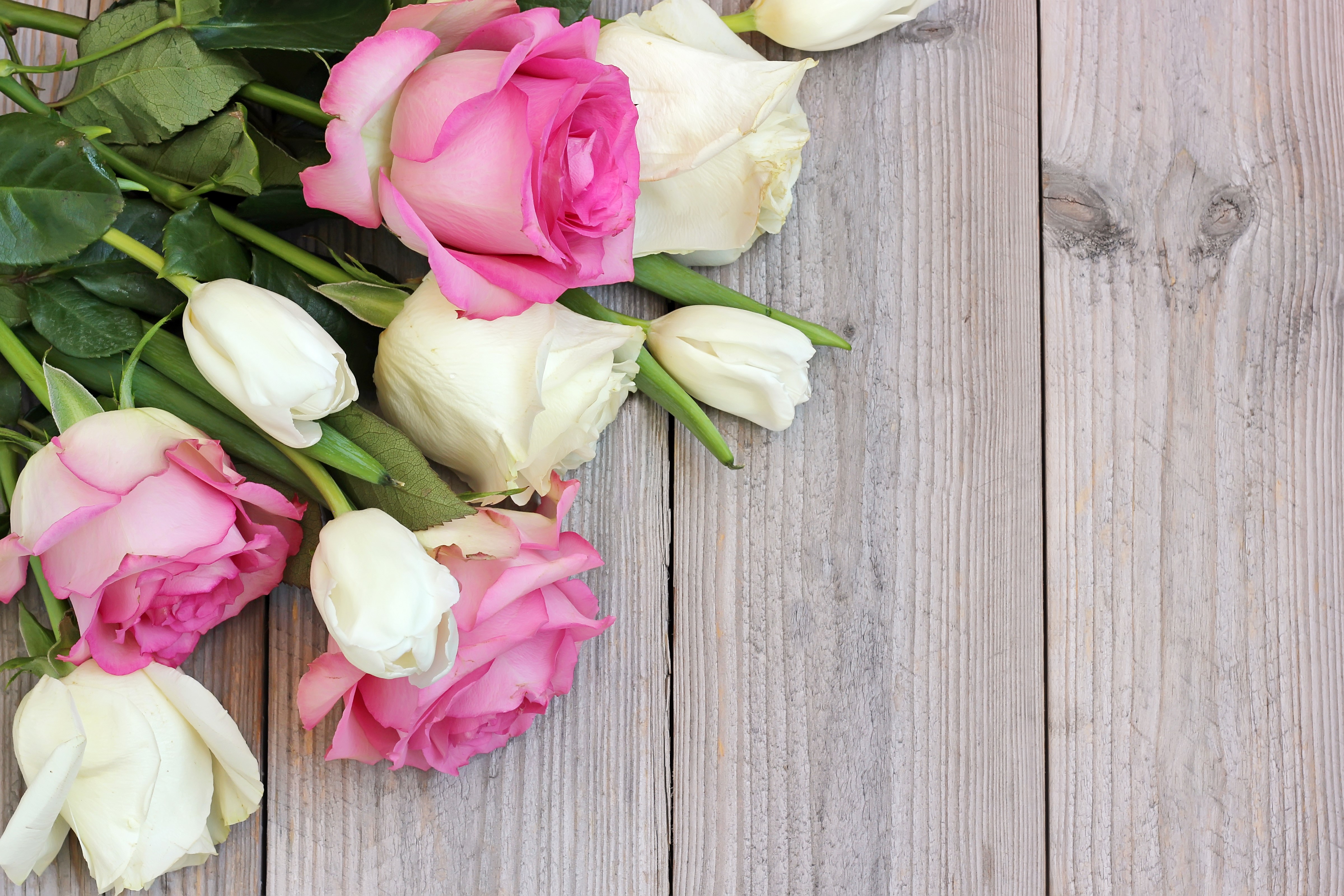 Pink and white roses and tulips on wood planks HD Wallpaper
