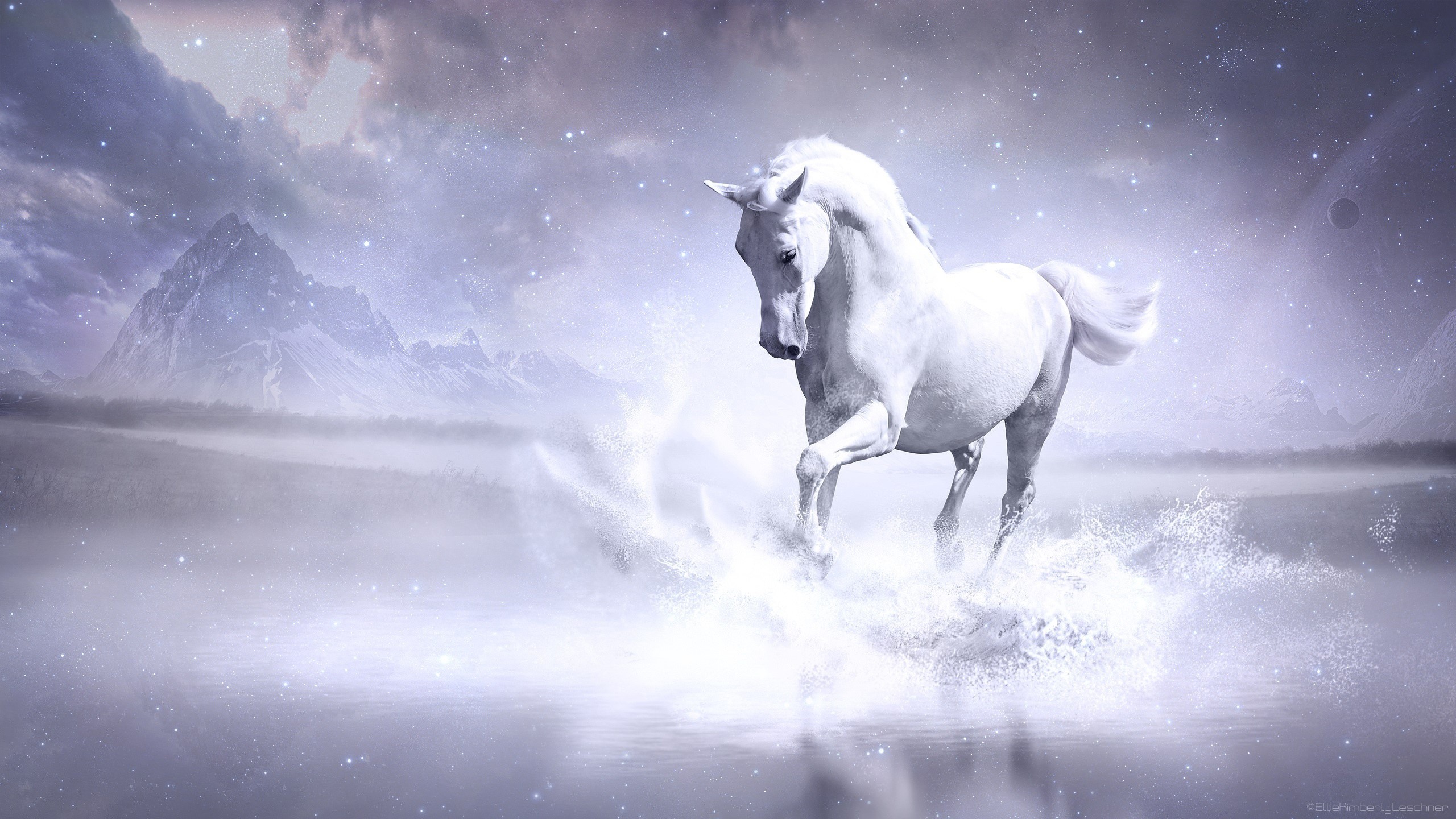 White horse running through water with mountains in background HD Wallpaper