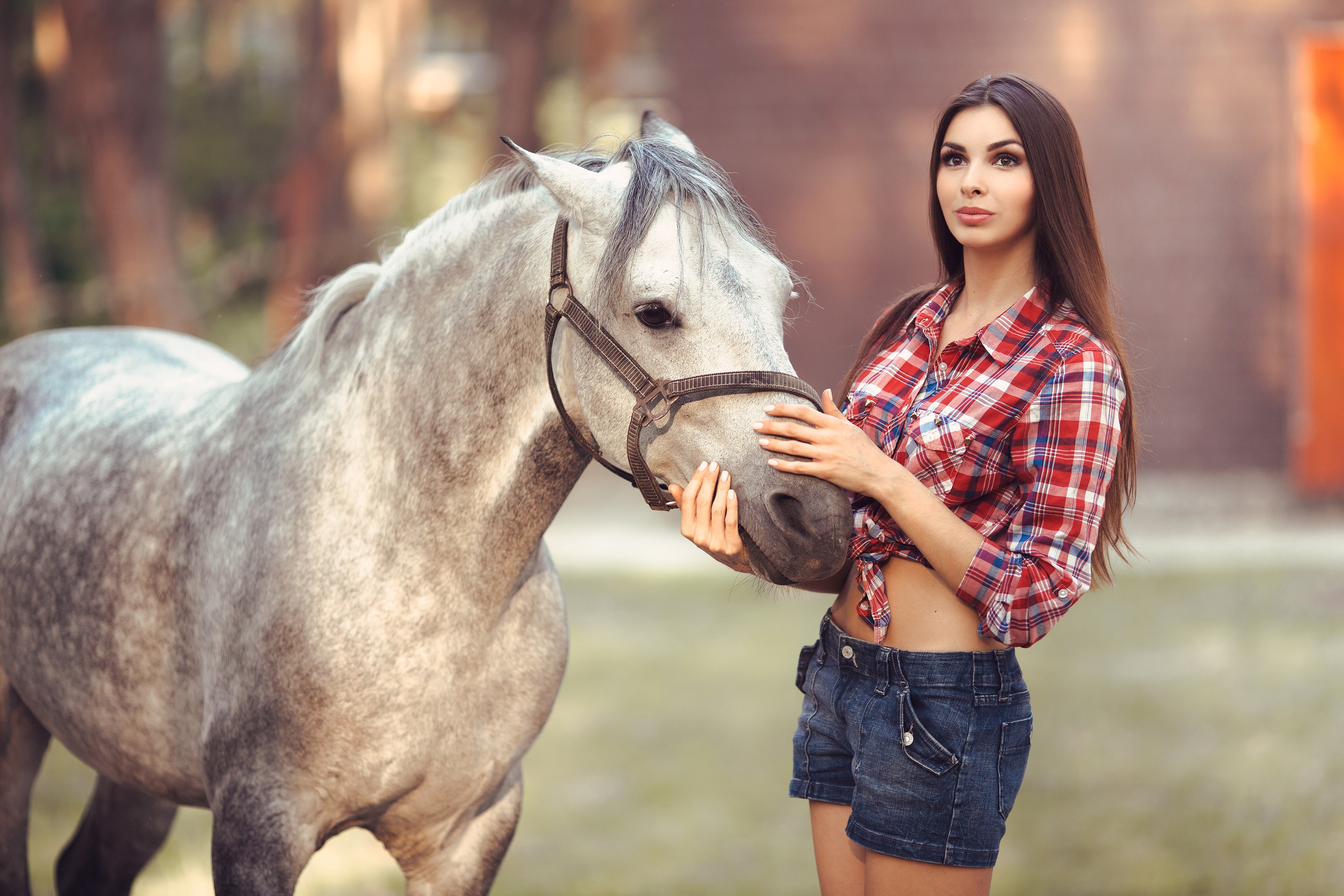 Woman in plaid shirt and denim shorts with a horse HD Wallpaper