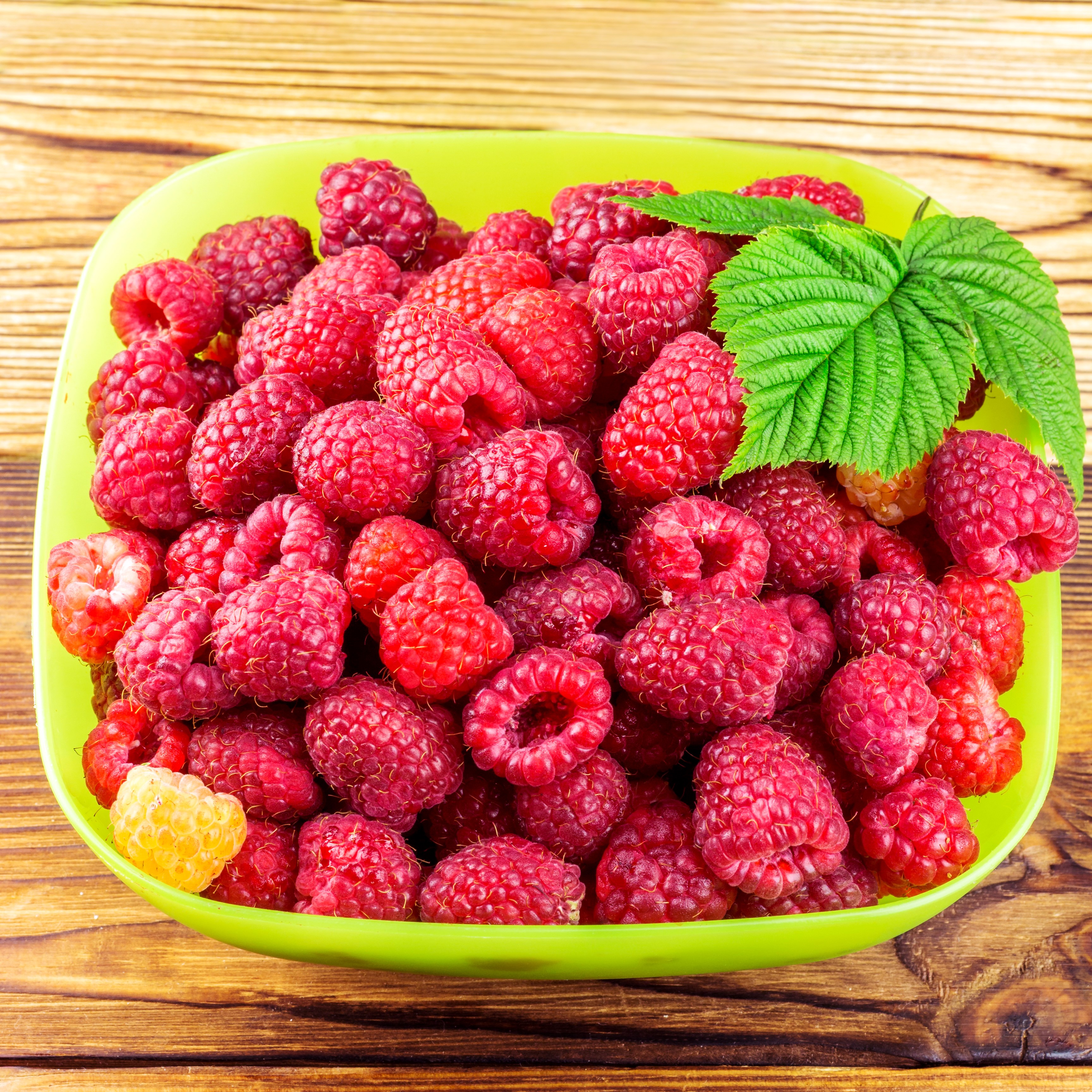 Bowl of fresh raspberries with a leaf HD Wallpaper