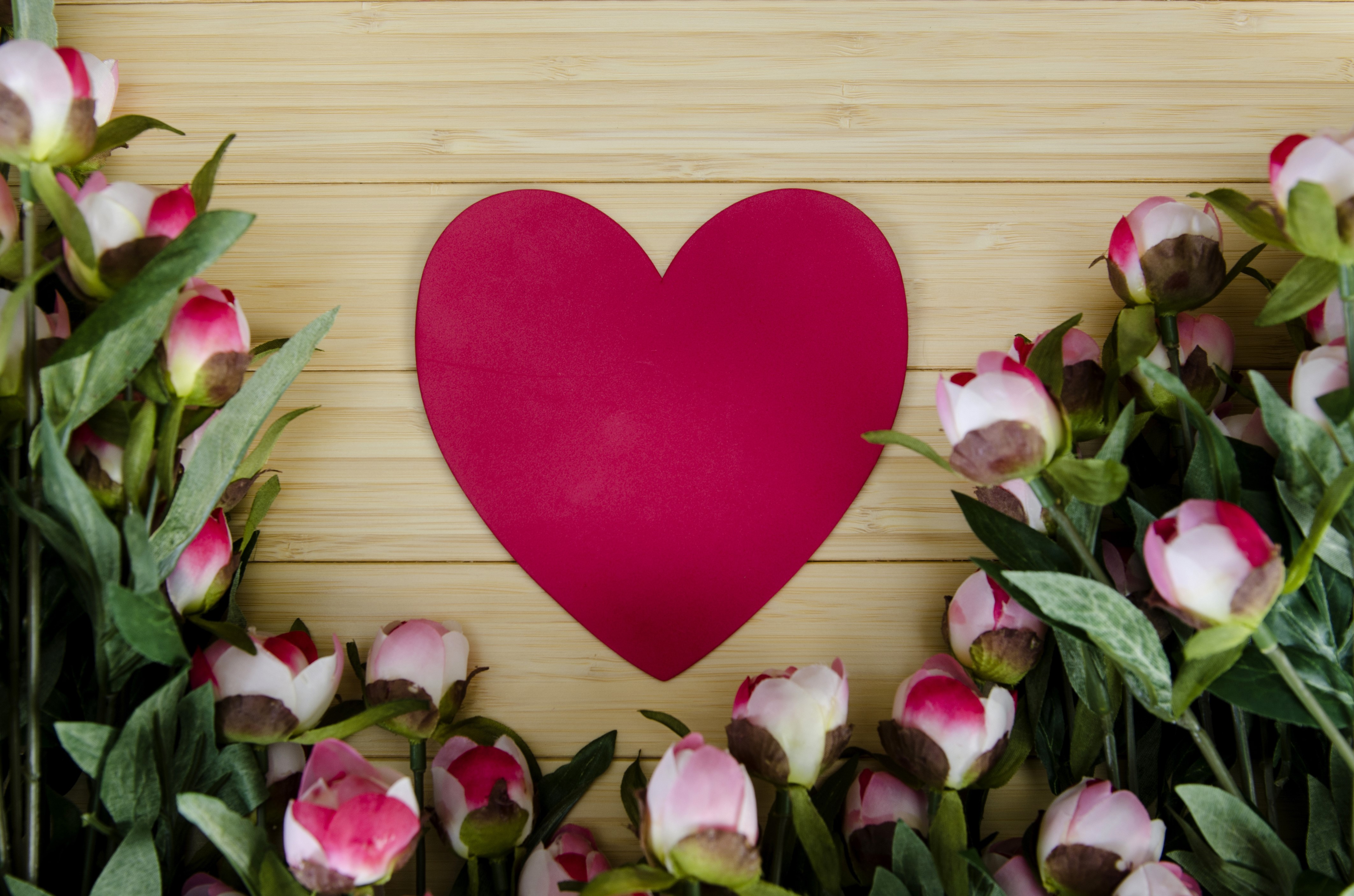 4K Peonies and Heart on Wood Background HD Wallpaper