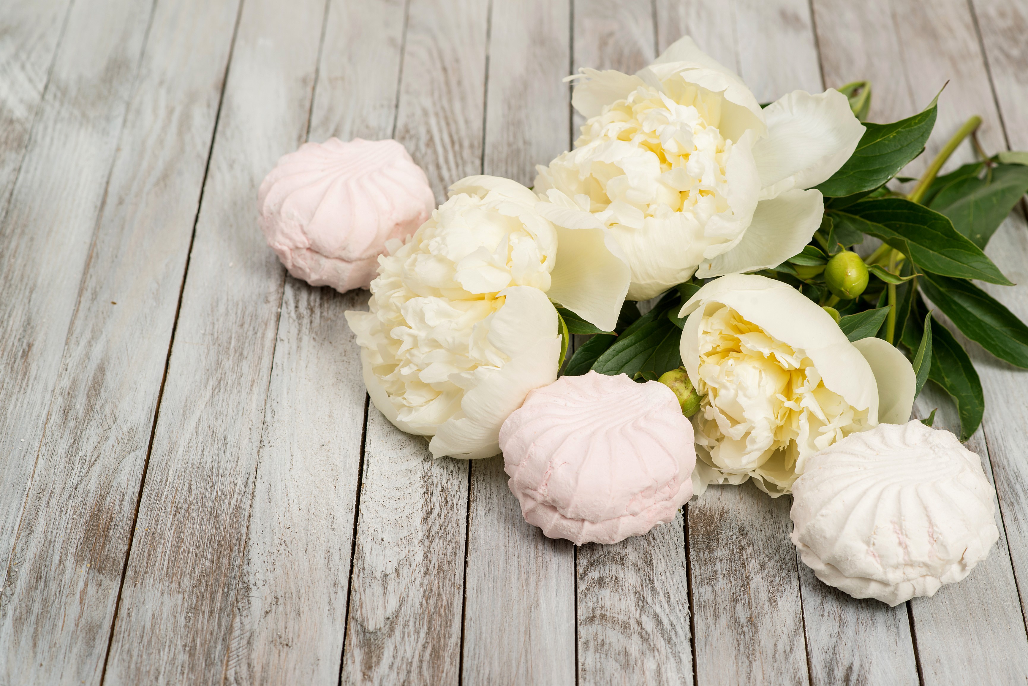 White Peonies and Pink Zefir on Wood Planks HD Wallpaper