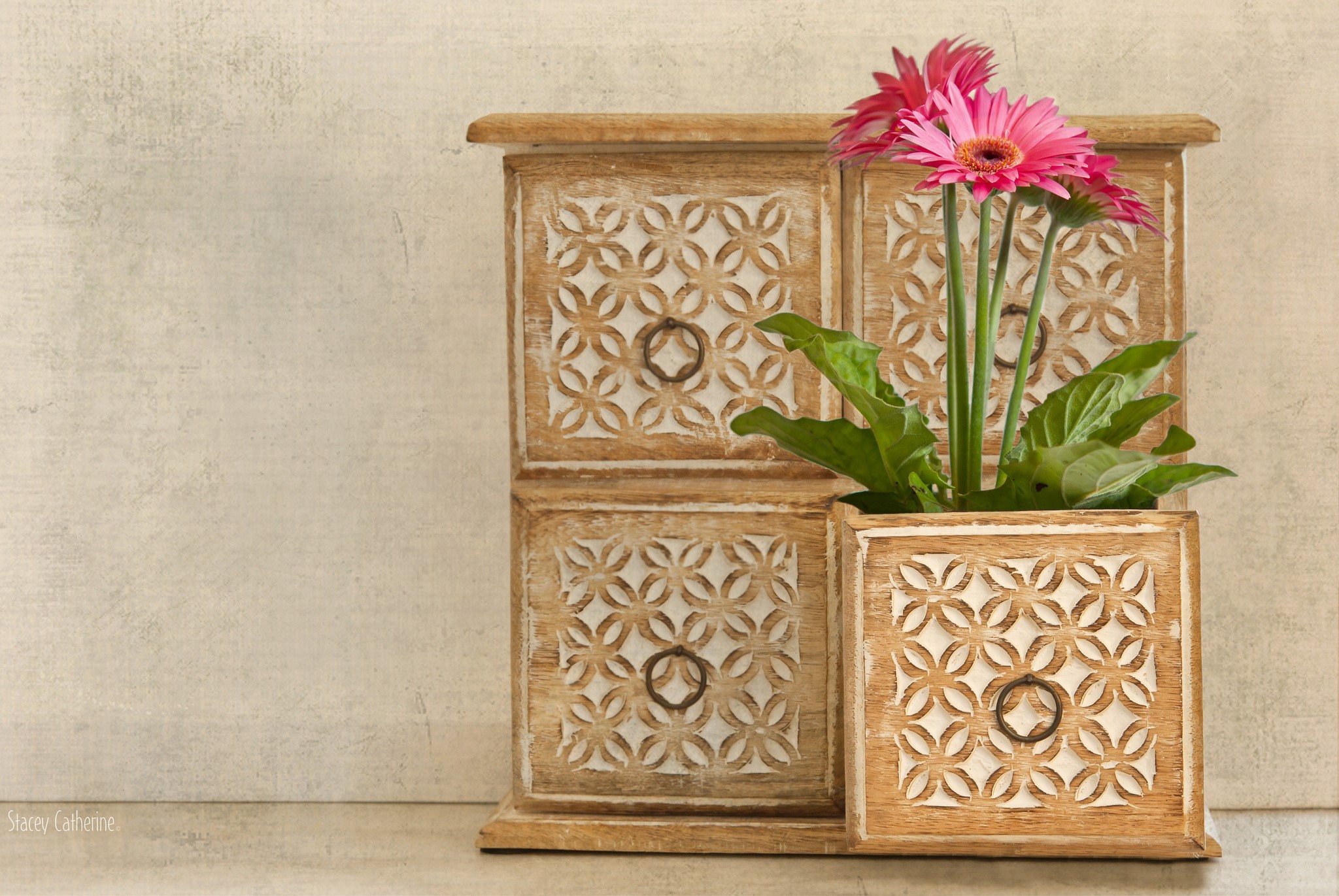 Wooden chest with pink gerbera daisies HD Wallpaper
