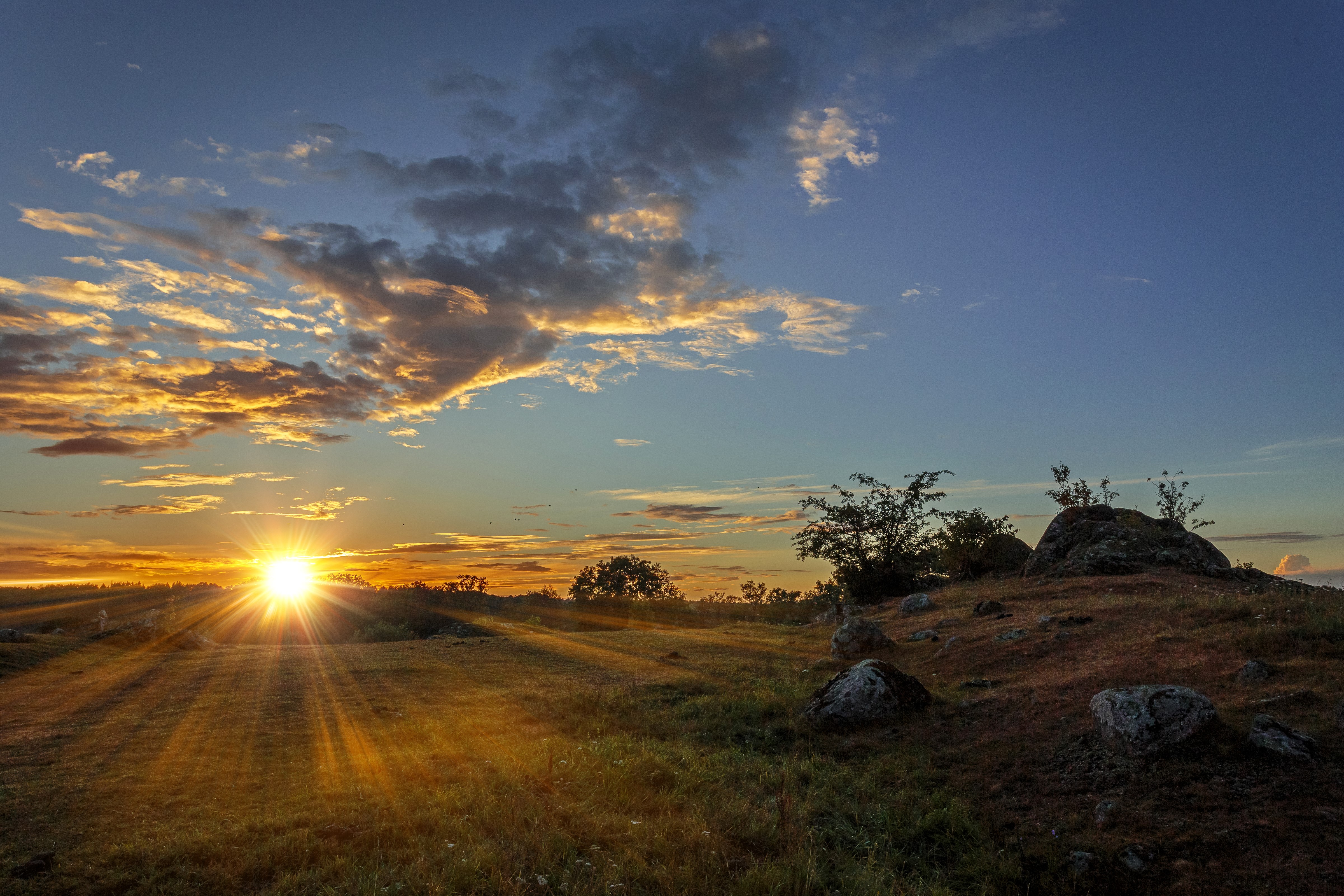 Sunrise over a grassy field with rocks HD Wallpaper