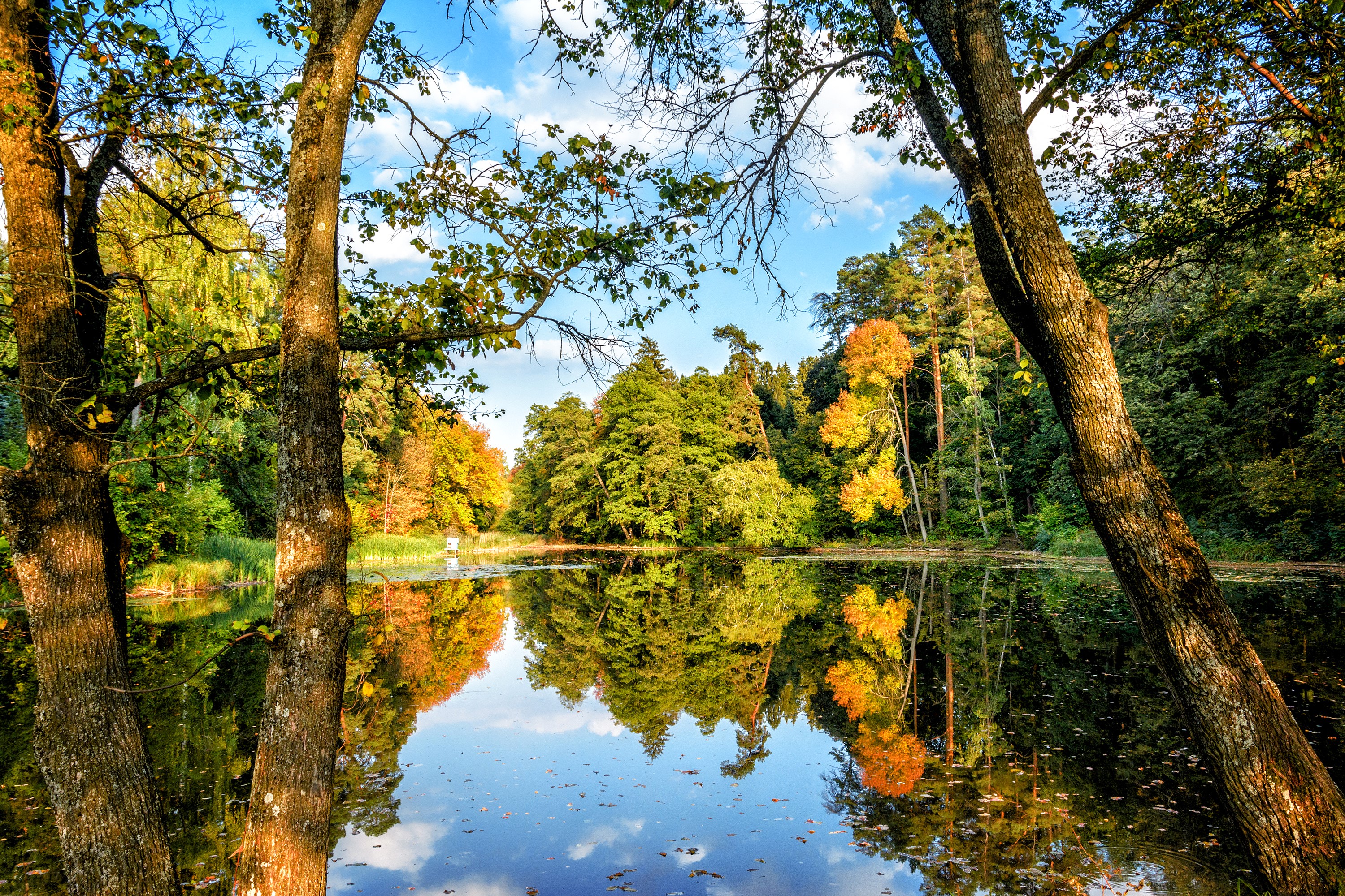 Autumn forest reflected in a calm lake in Trostianets, Ukraine HD Wallpaper