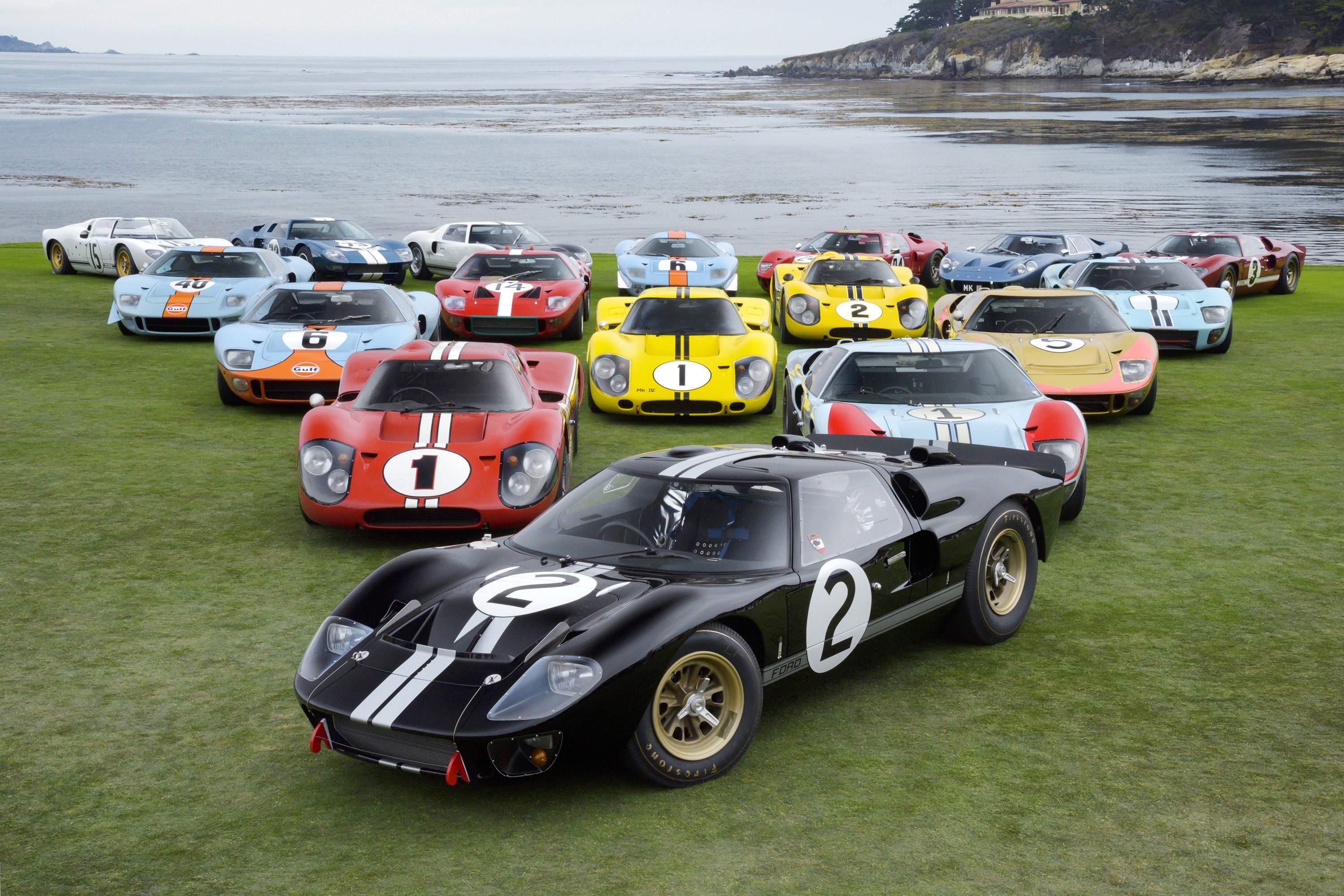Collection of Ford GT race cars on grass HD Wallpaper