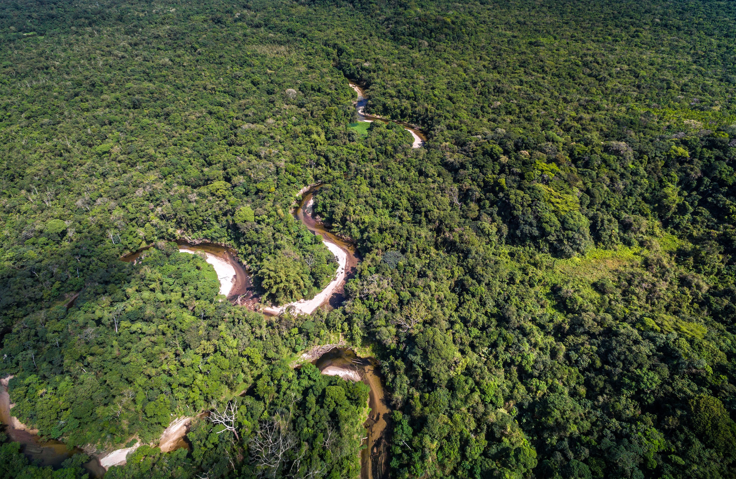 Aerial view of a winding river through the Amazon rainforest in Brazil HD Wallpaper
