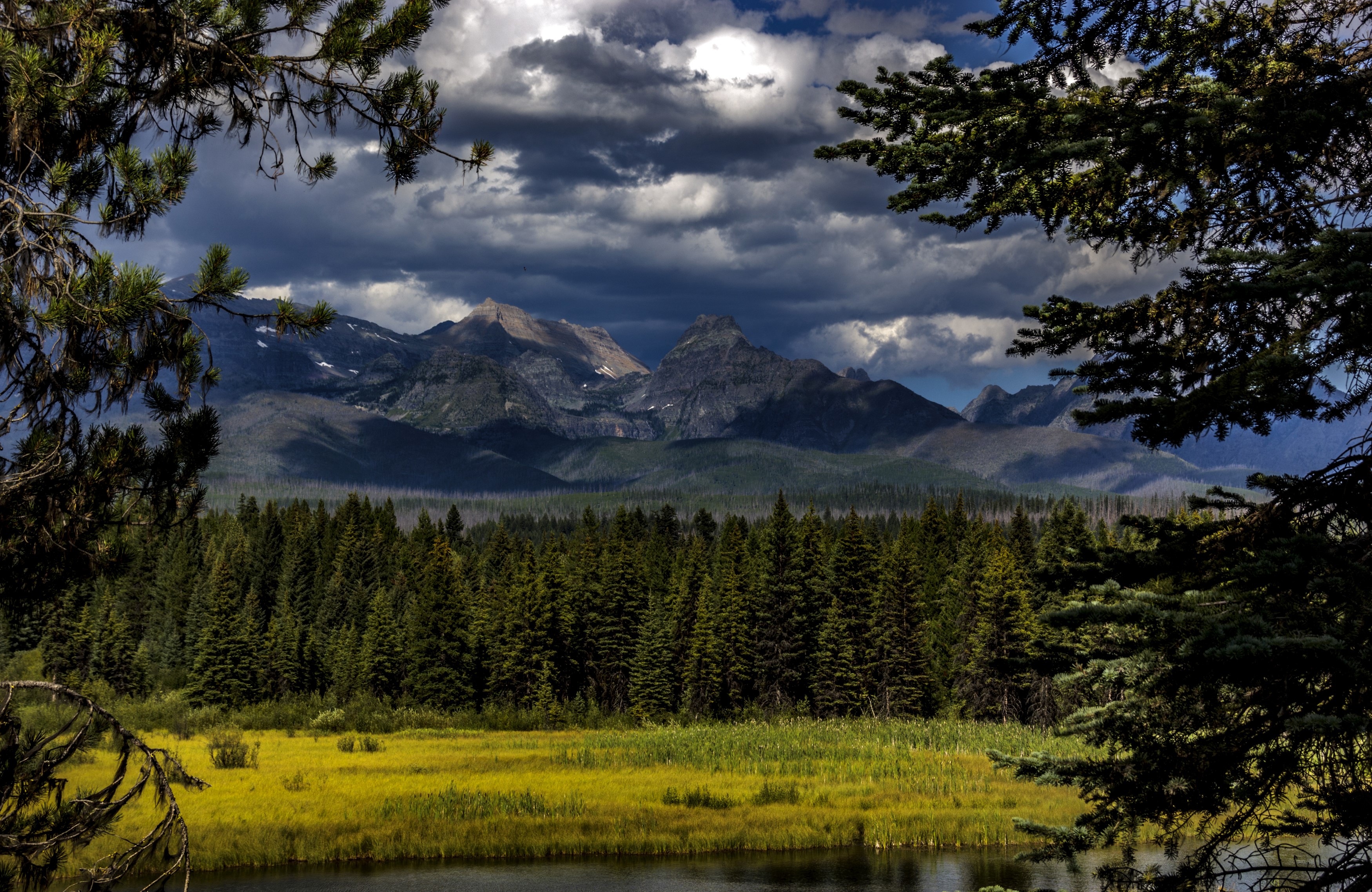 Mountains and forest in Glacier National Park, Montana HD Wallpaper
