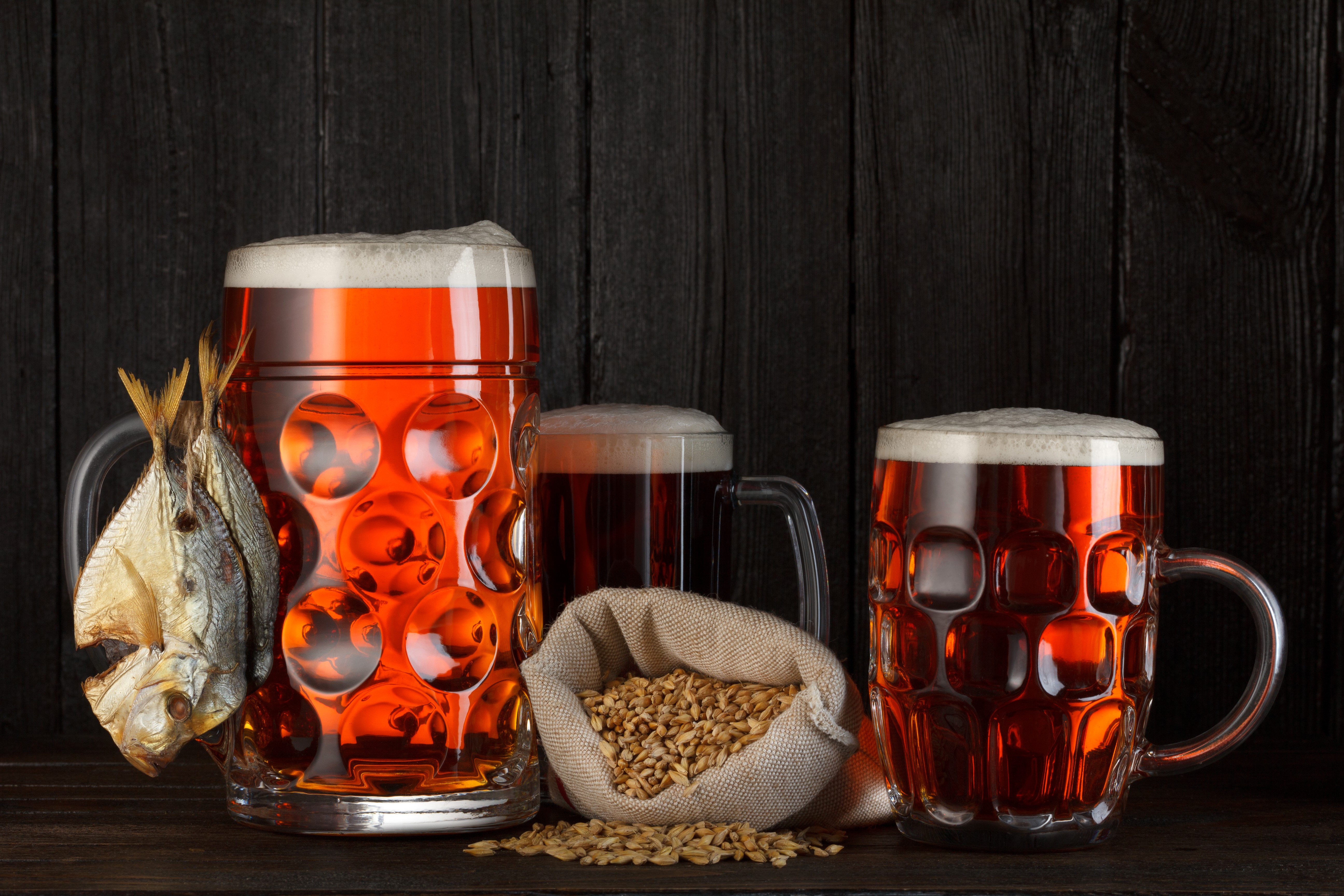 Beer mugs with dried fish and grains HD Wallpaper