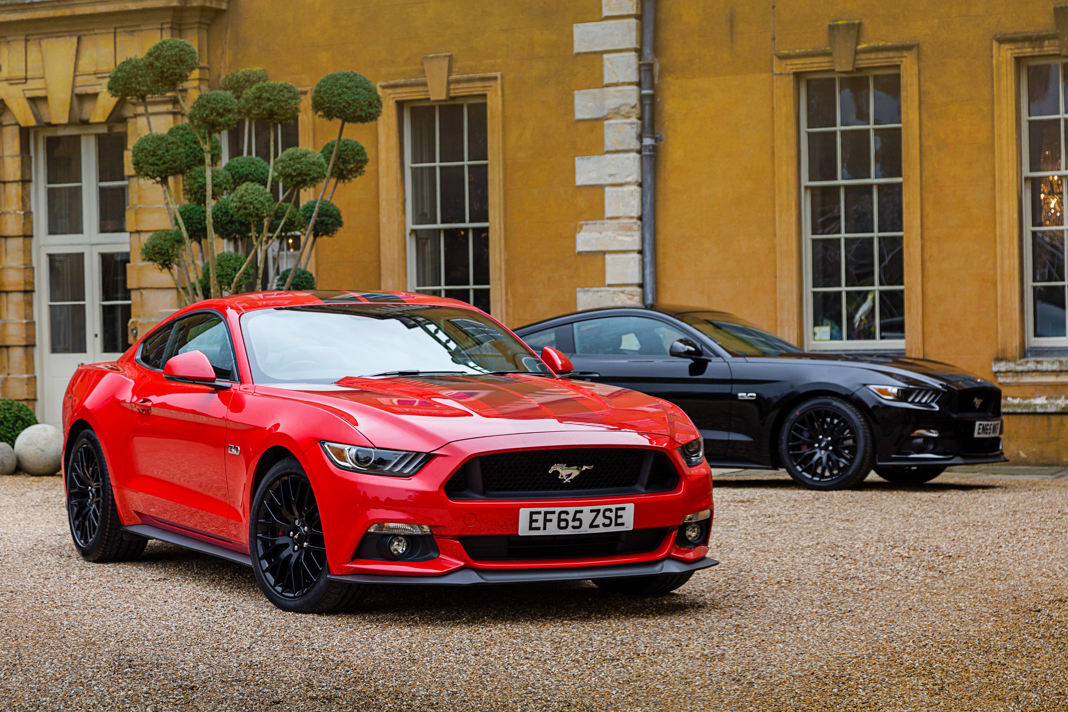 Two Ford Mustang GT Fastback cars parked outside a building HD Wallpaper