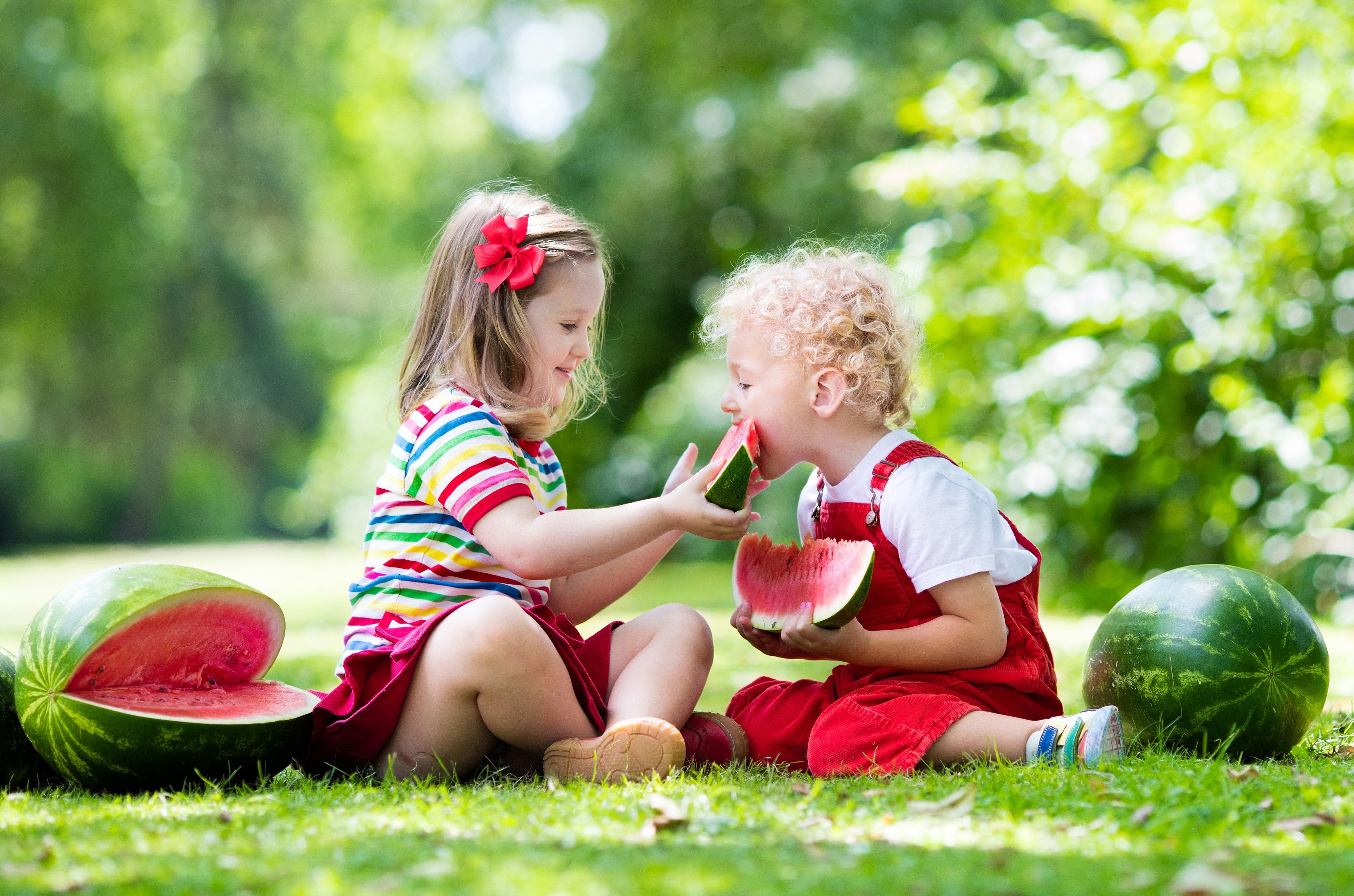 Two children eating watermelon in a park HD Wallpaper
