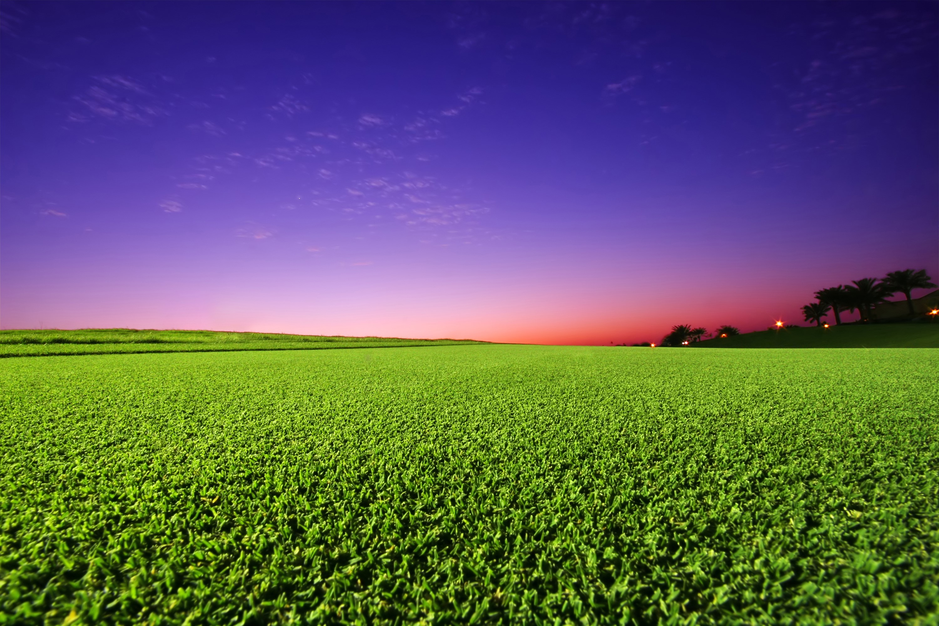 Green field at sunset with purple sky HD Wallpaper