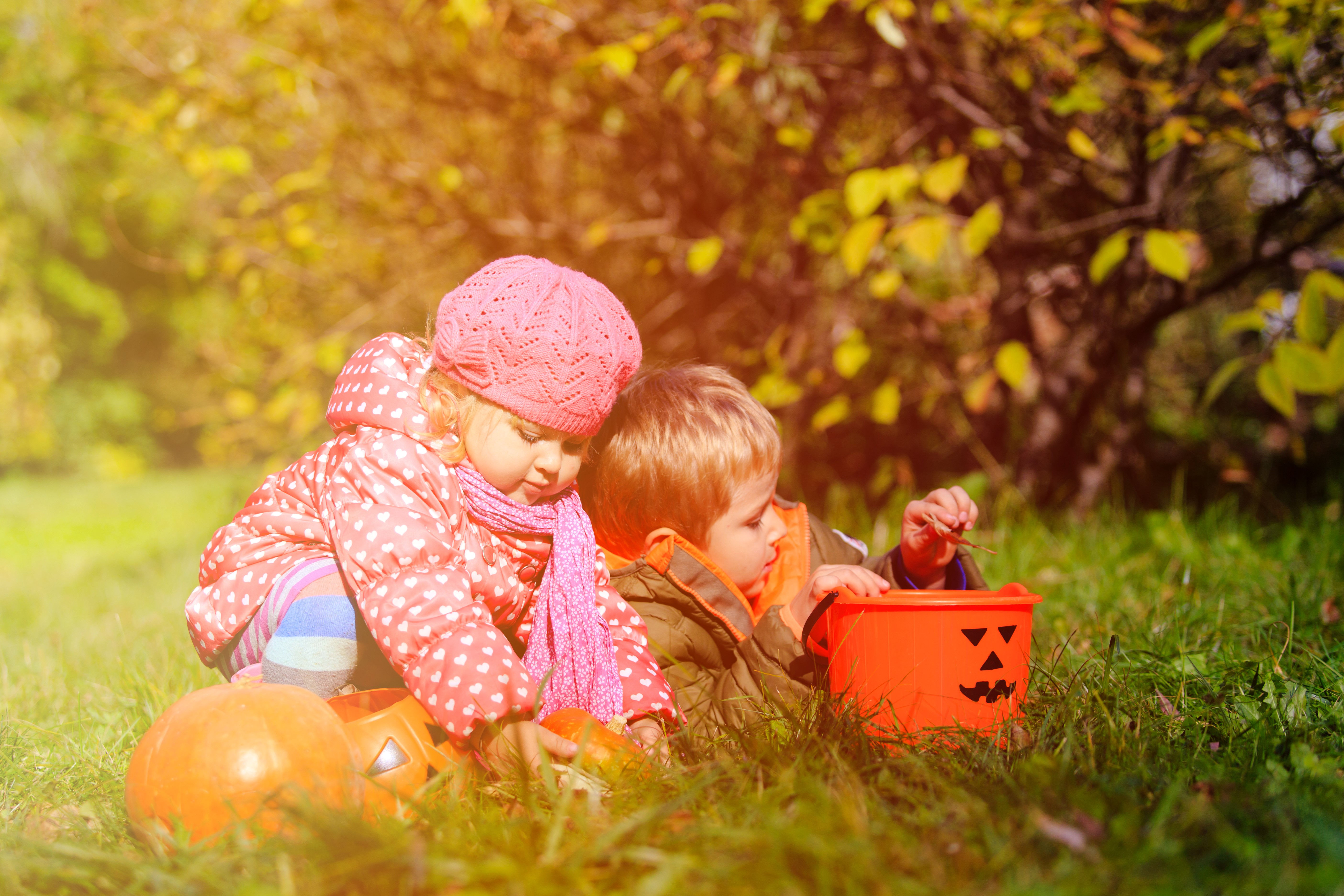 Children with Pumpkins and Halloween Bucket HD Wallpaper