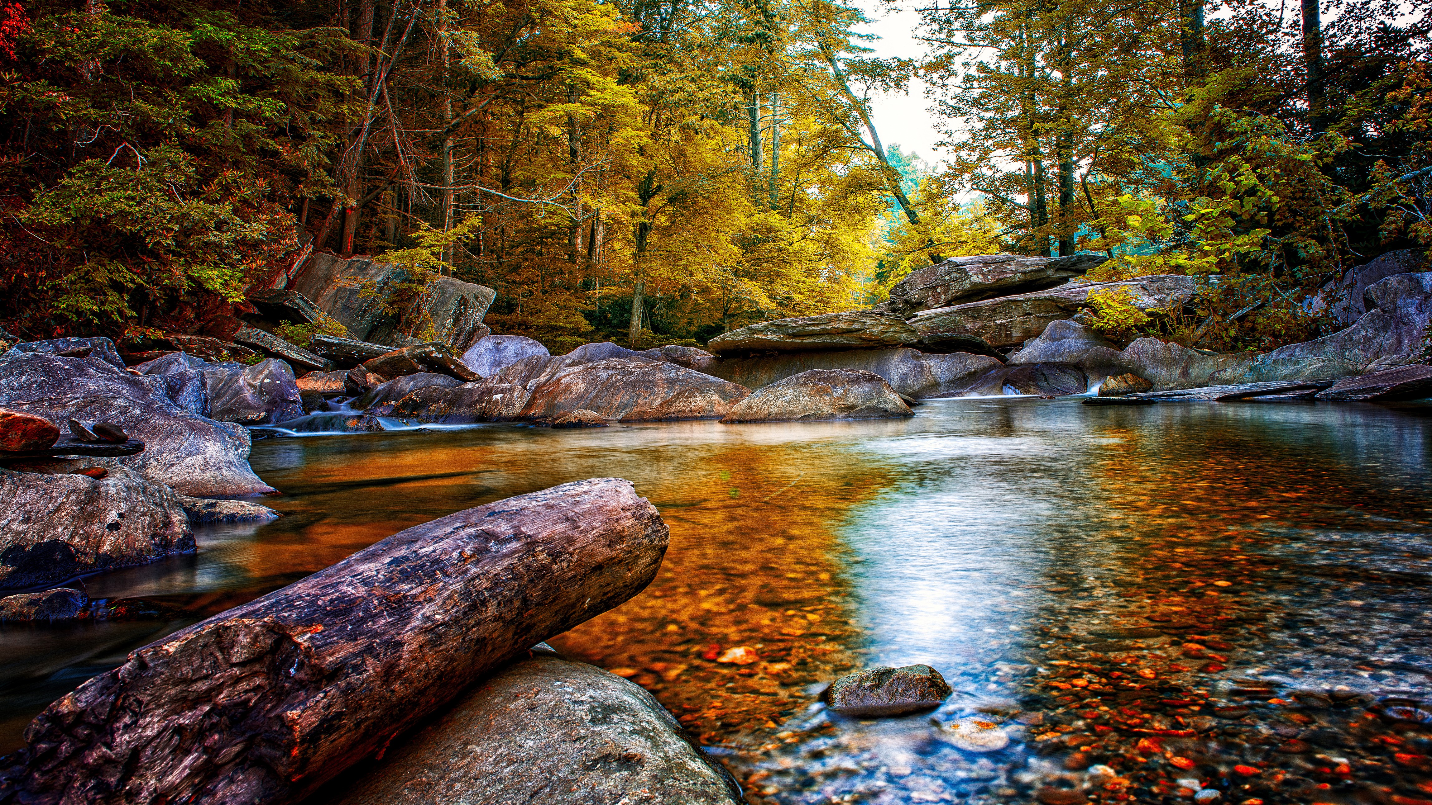 Autumn forest river with rocks and fallen log HD Wallpaper