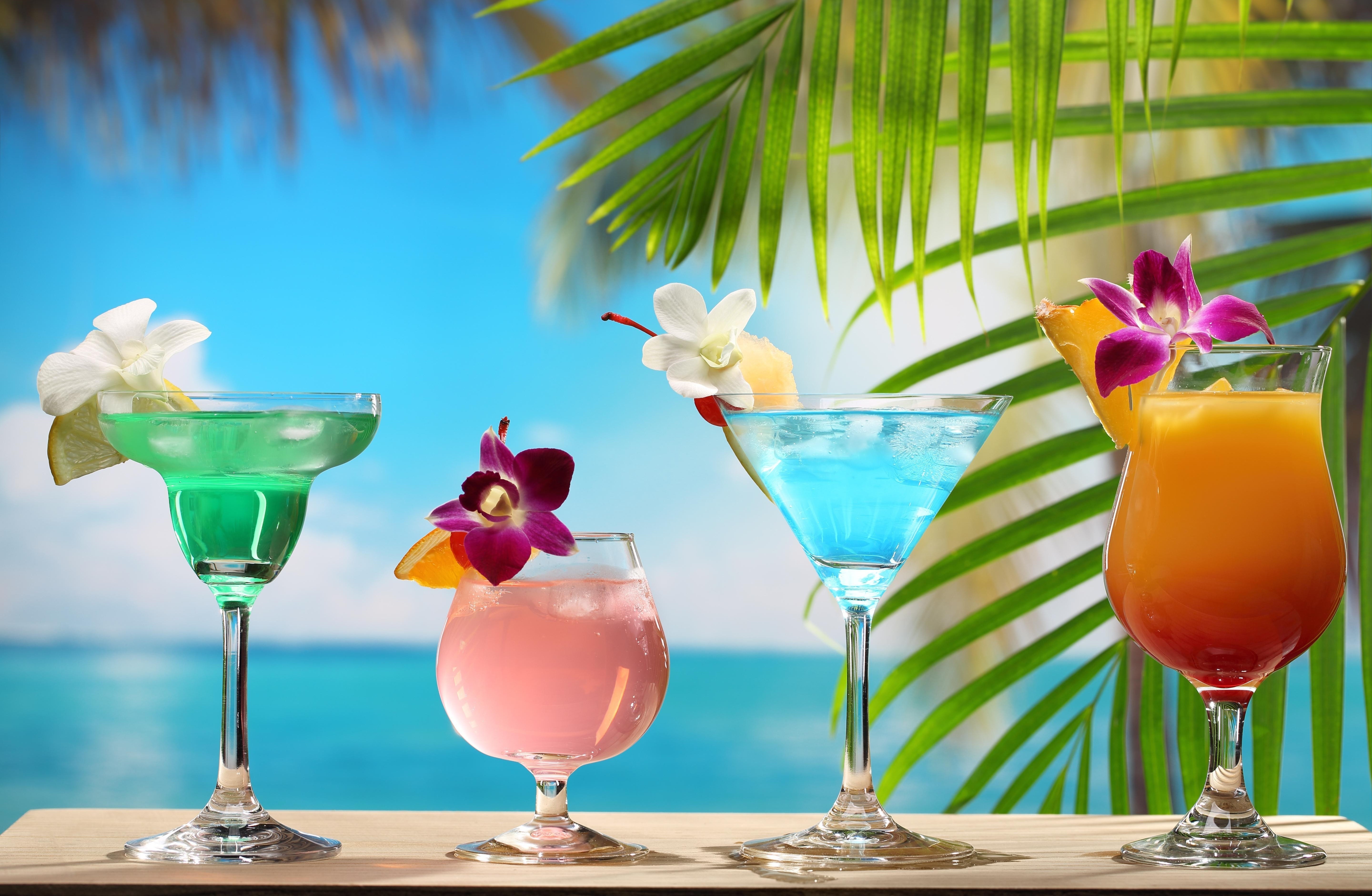 Four colorful cocktails on a table with palm leaves and ocean background HD Wallpaper