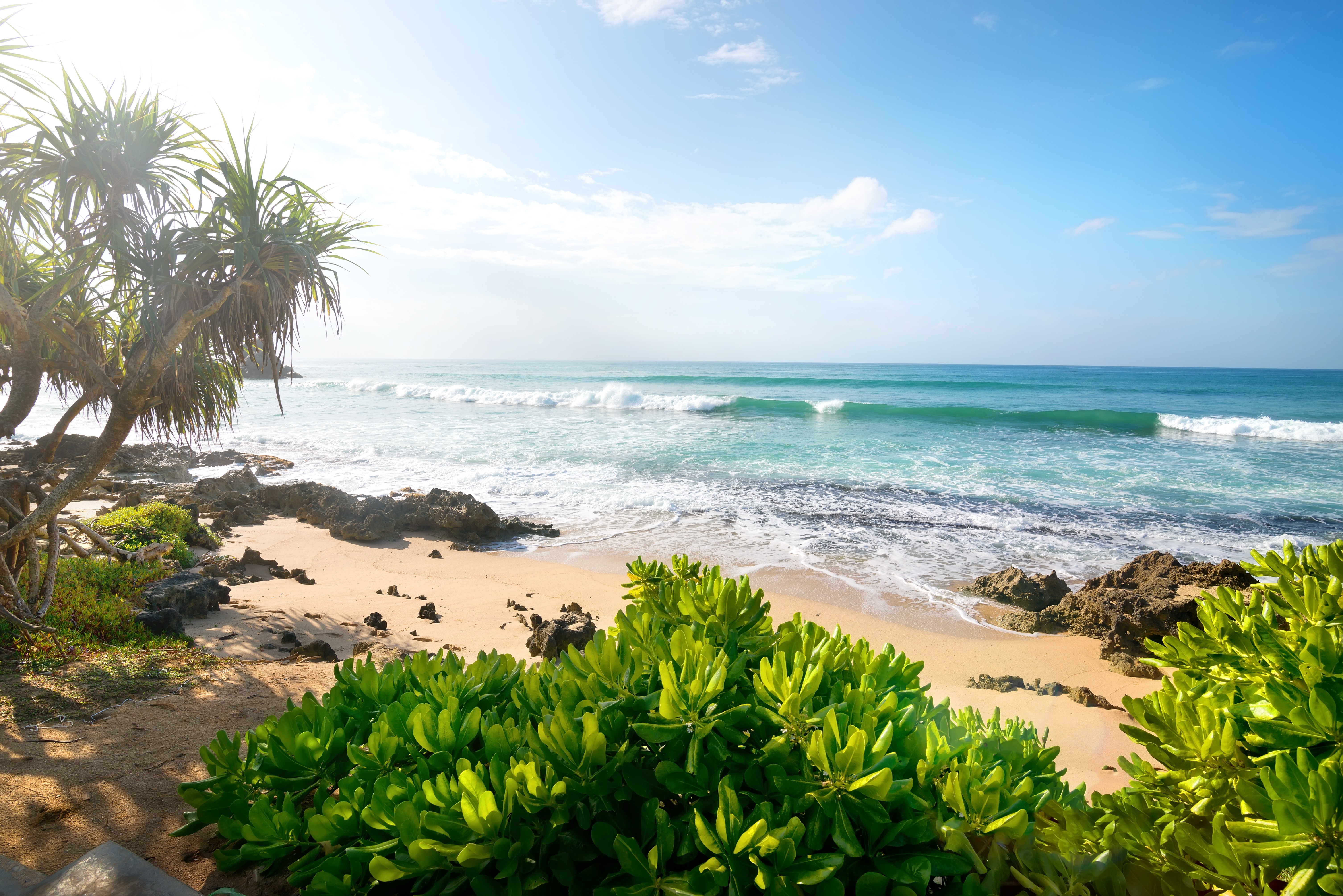 Beach with Palm Trees and Ocean Waves HD Wallpaper