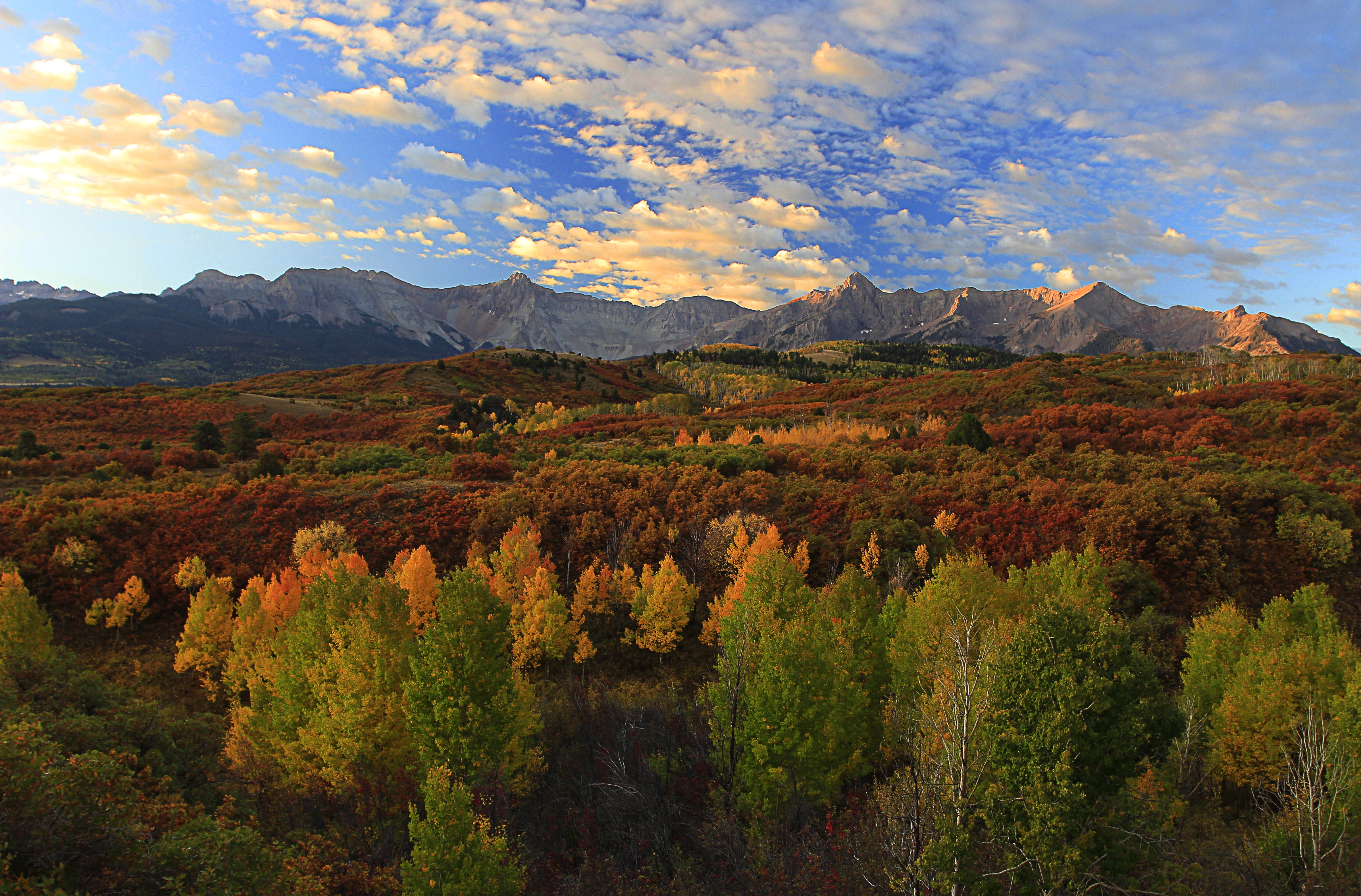 Autumn Forest and Mountains Scenery HD Wallpaper