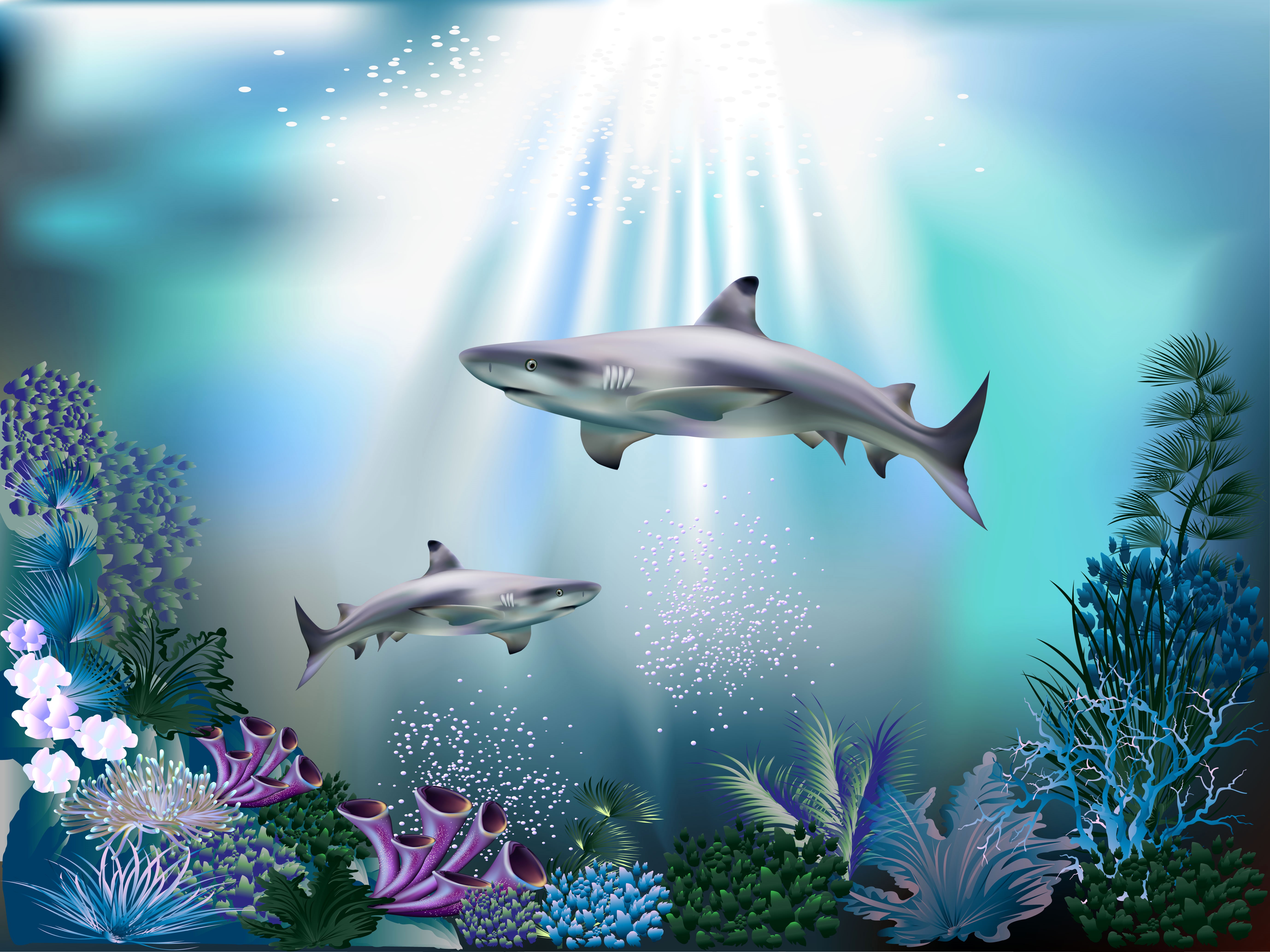 Underwater world with sharks and corals HD Wallpaper