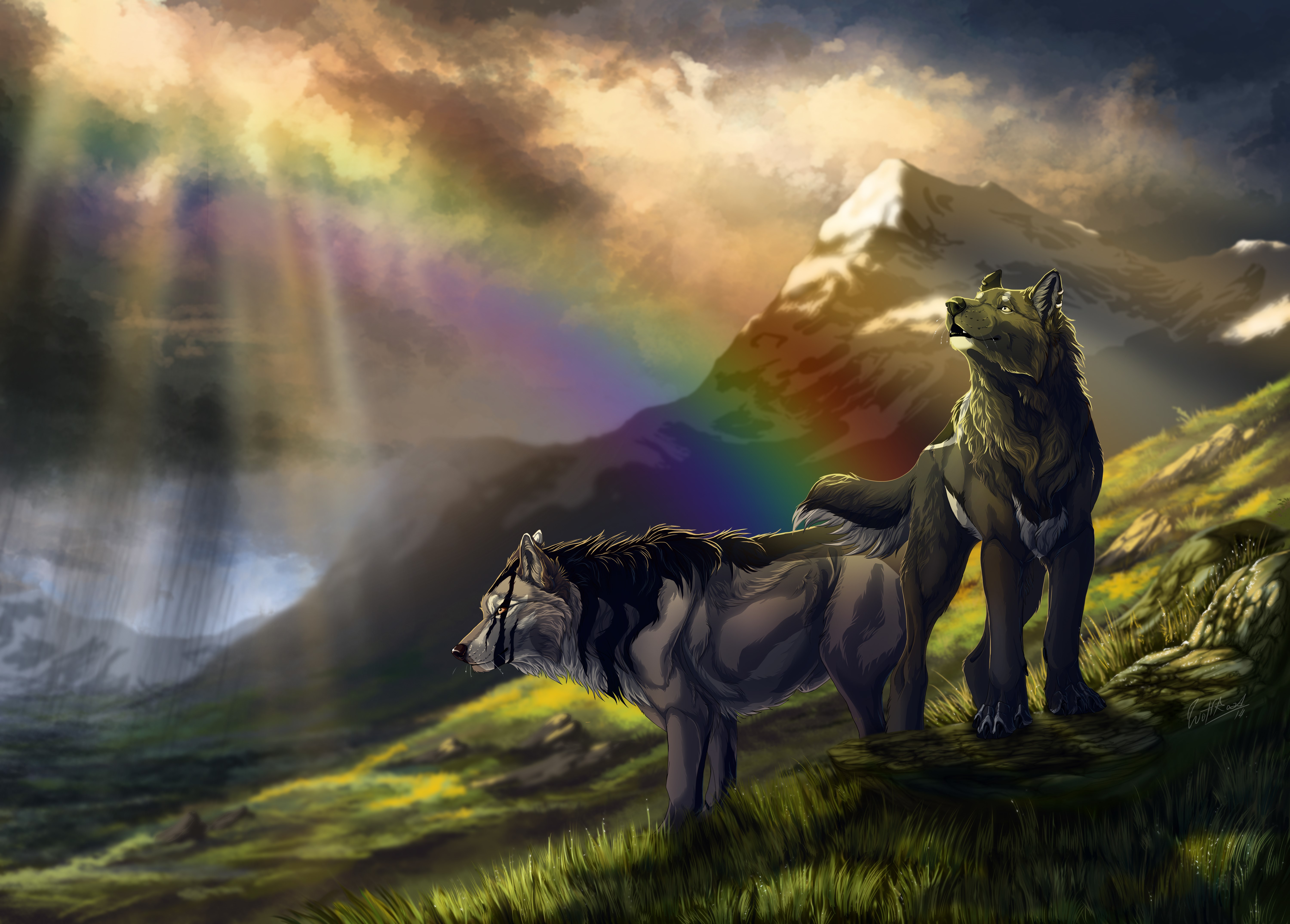 Two wolves in mountains with rainbow HD Wallpaper