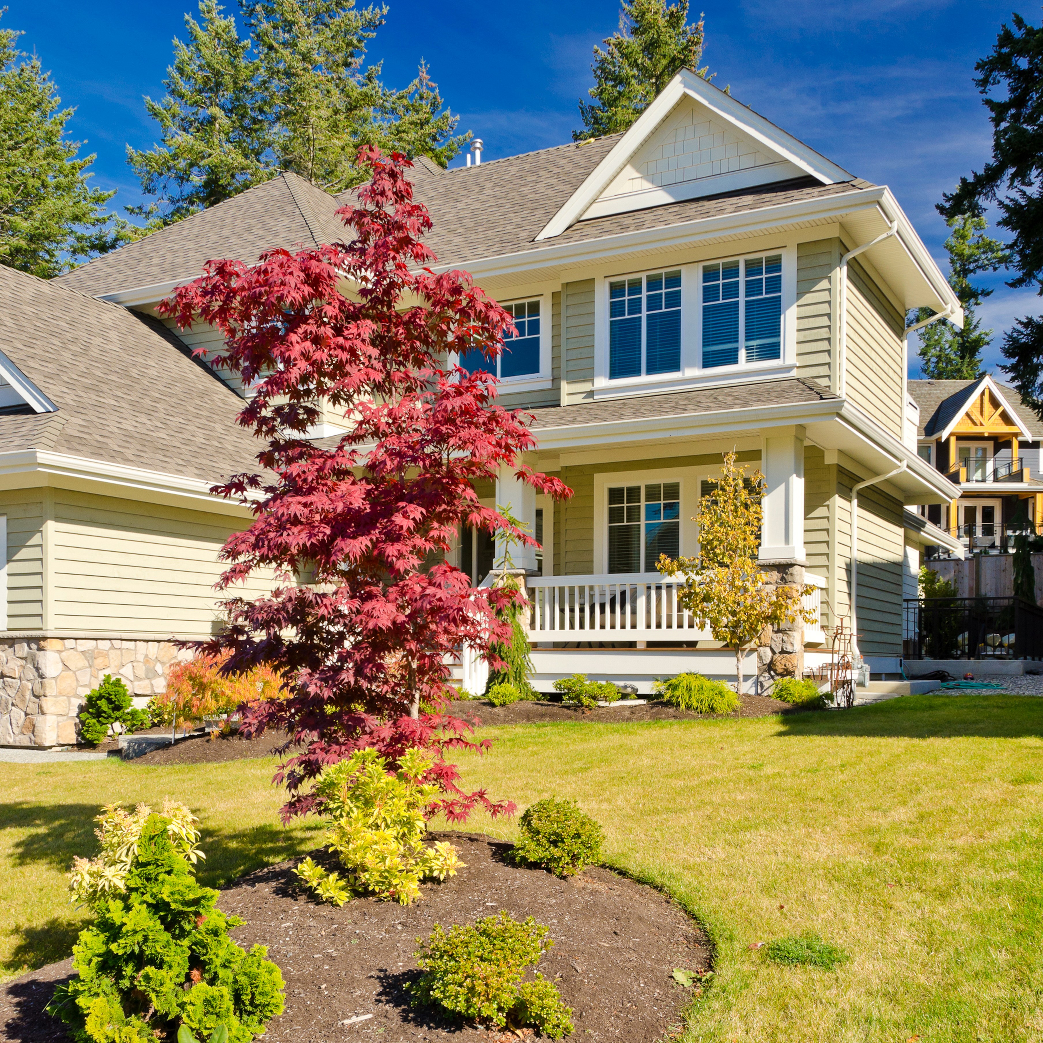 A modern house with a red maple tree in the front yard HD Wallpaper