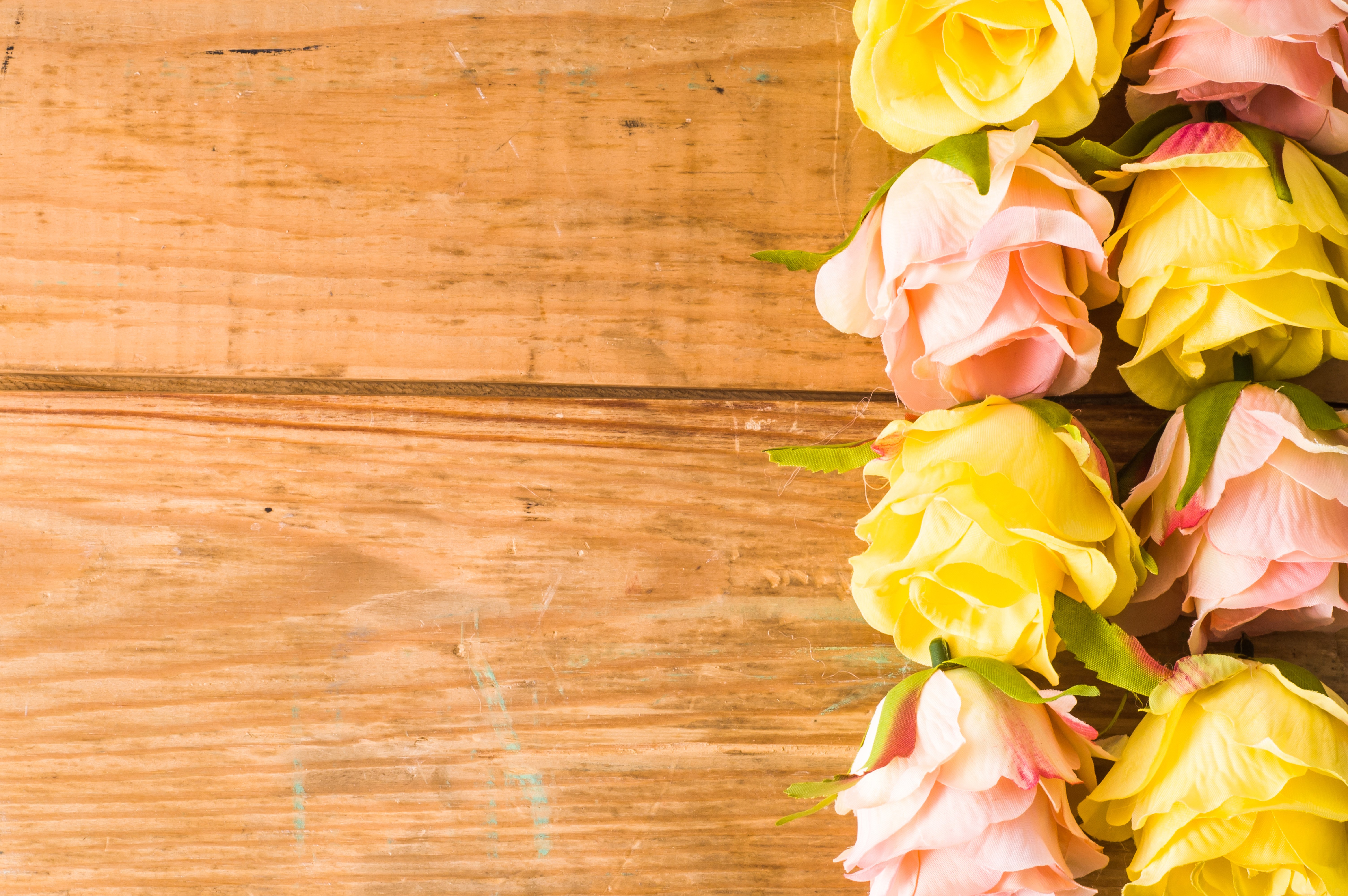 Roses on a wooden background HD Wallpaper
