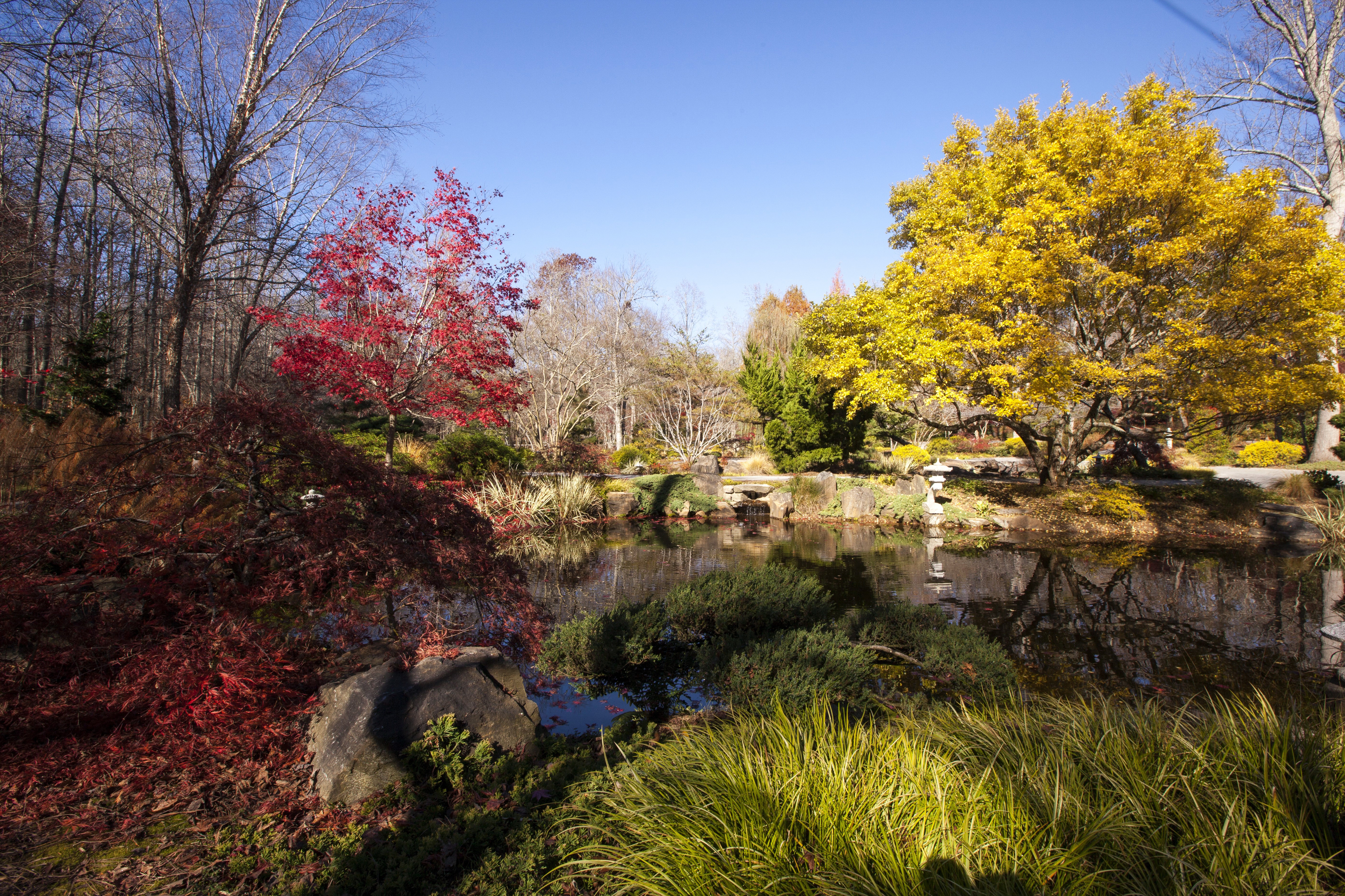 Autumn at Gibbs Gardens, Ball Ground Georgia HD Wallpaper