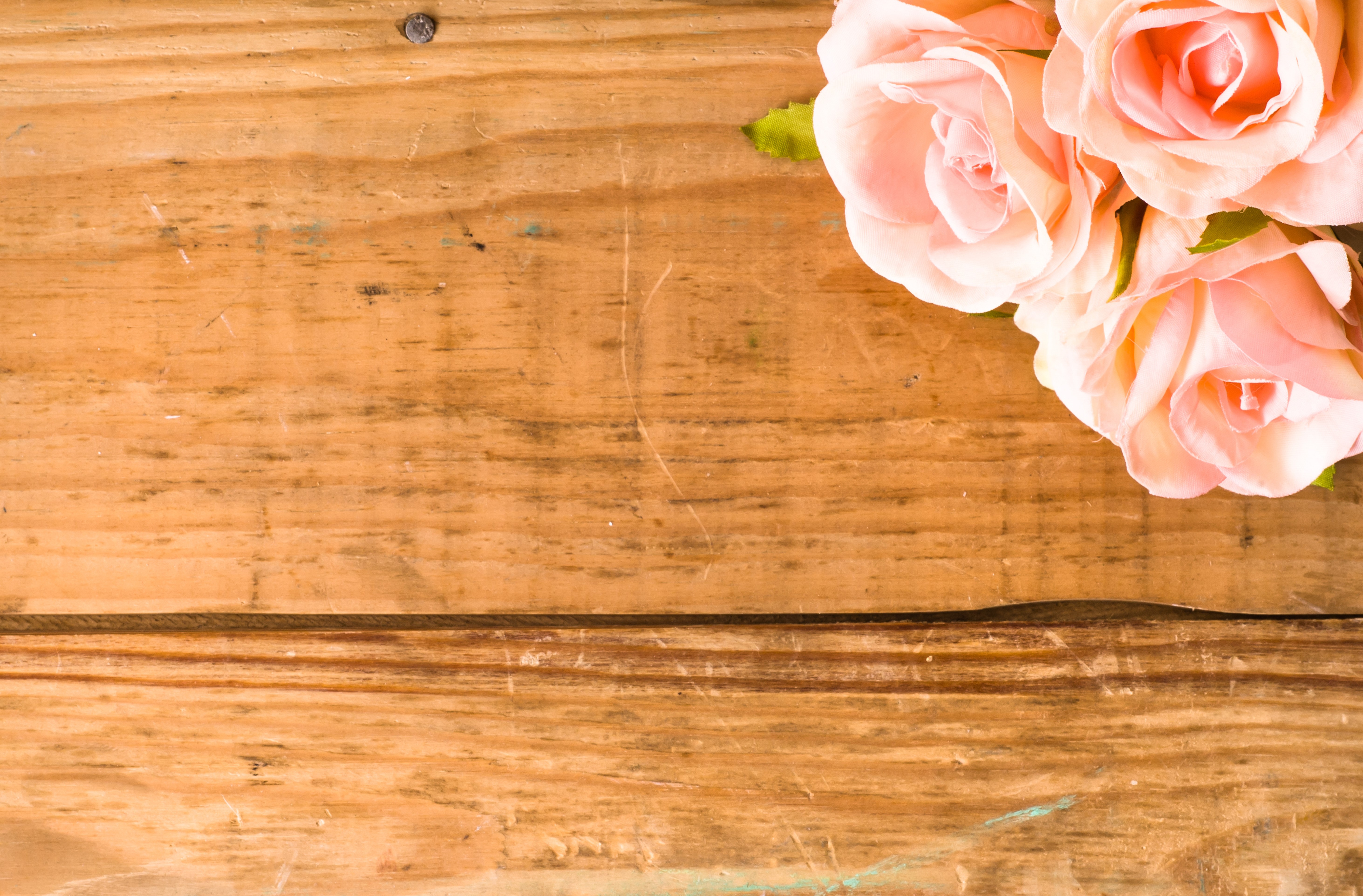Pink Roses on Wooden Surface HD Wallpaper