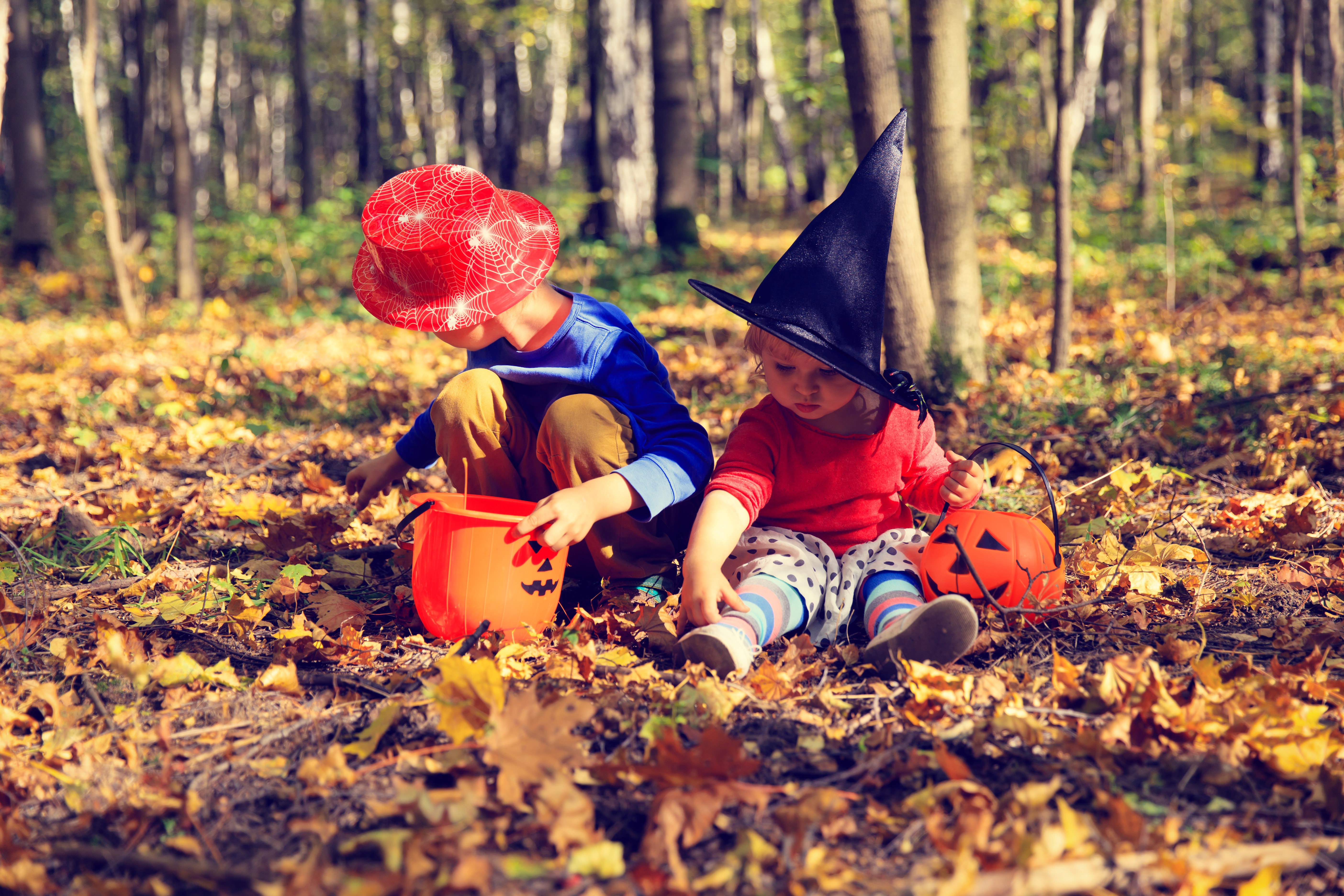 Two children in Halloween costumes in a forest HD Wallpaper