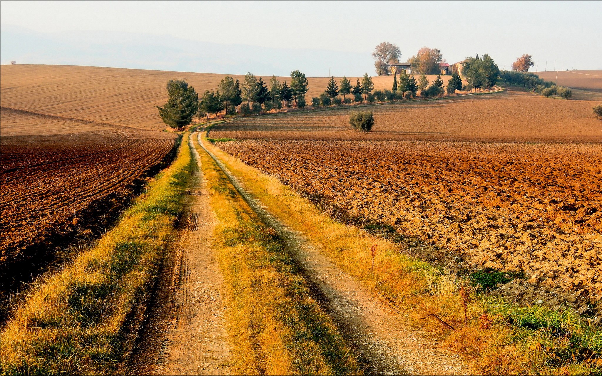Dirt road through autumn fields with trees and a house HD Wallpaper