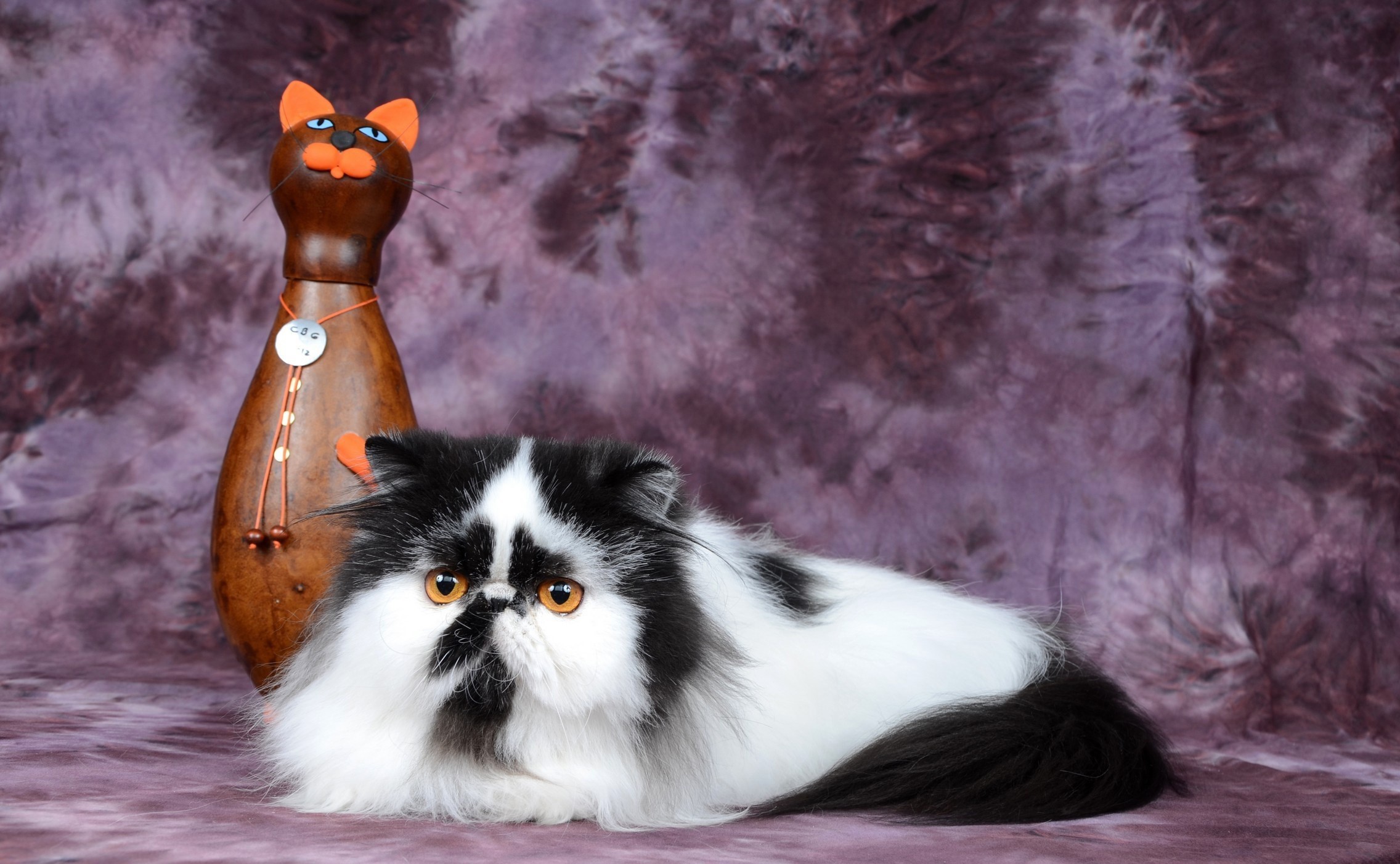 Black and white Persian cat with a decorative cat statue HD Wallpaper