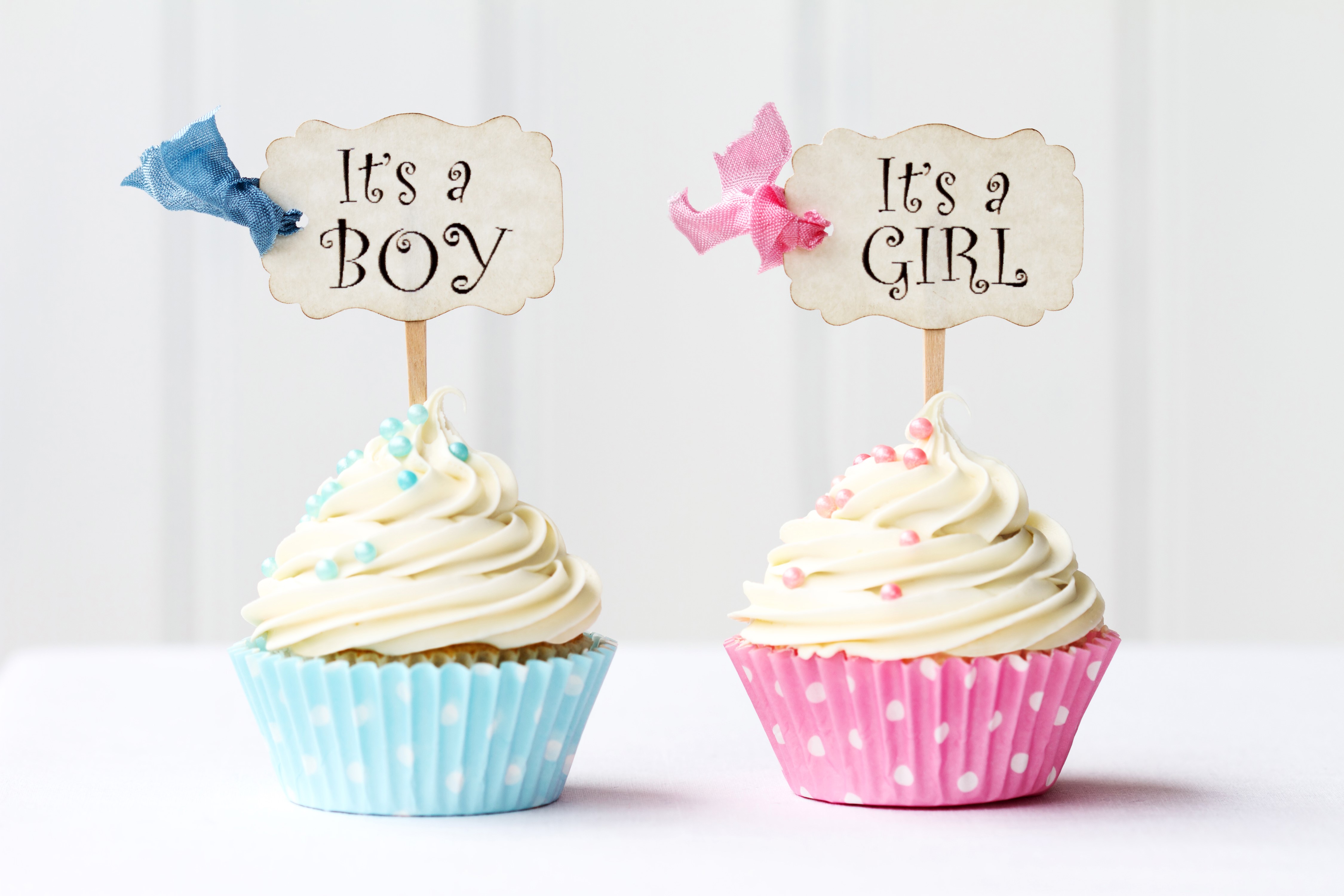 Two gender reveal cupcakes, one for a boy and one for a girl HD Wallpaper