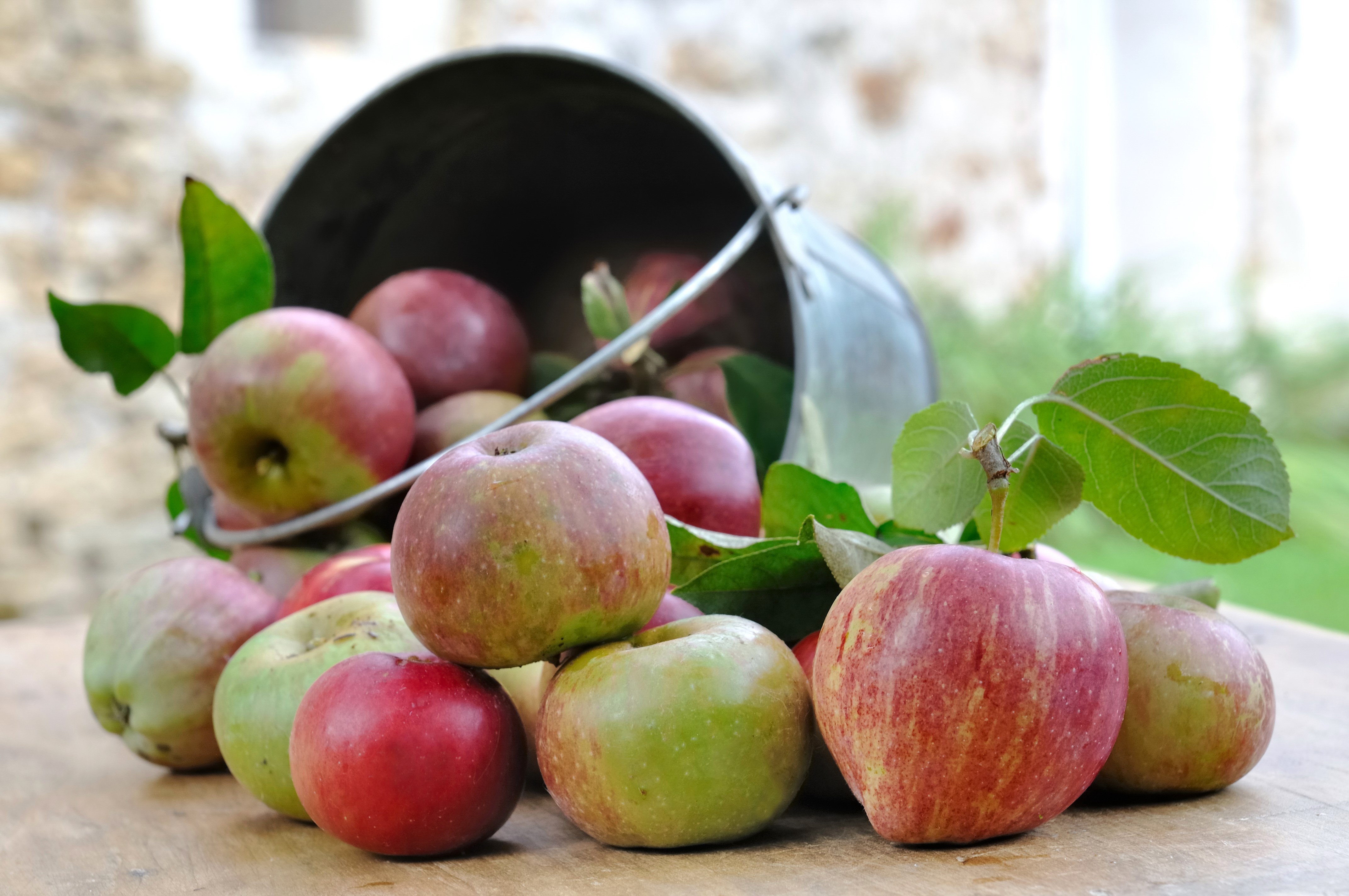 Apples spilling from a bucket HD Wallpaper