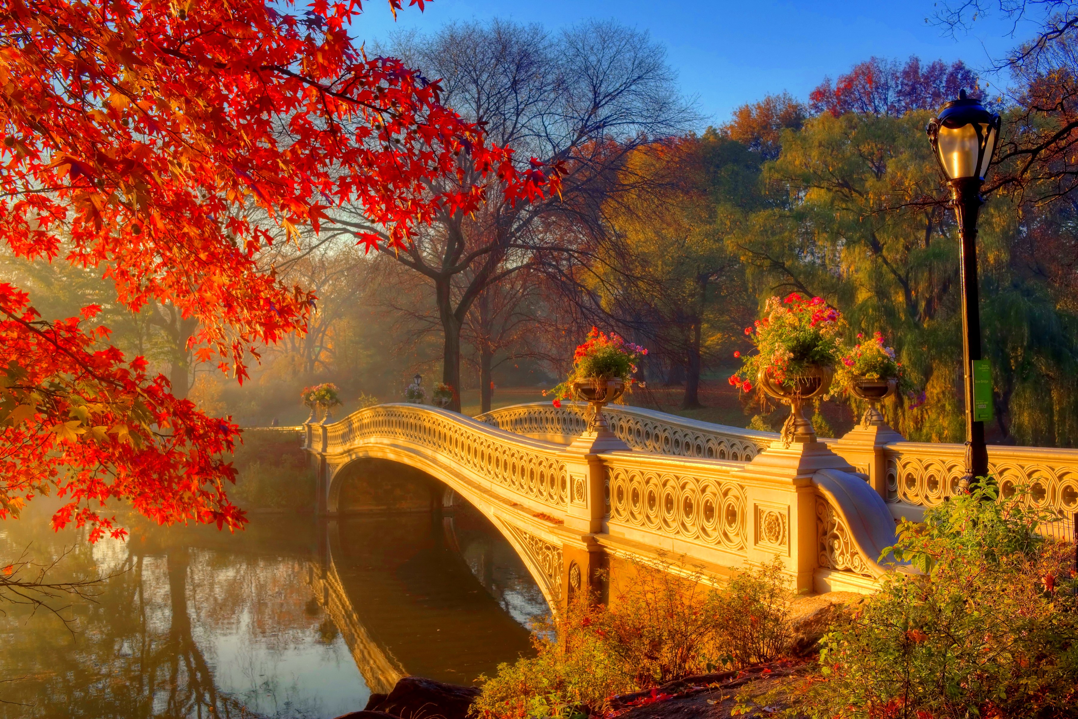 Bow Bridge in Central Park during Autumn HD Wallpaper