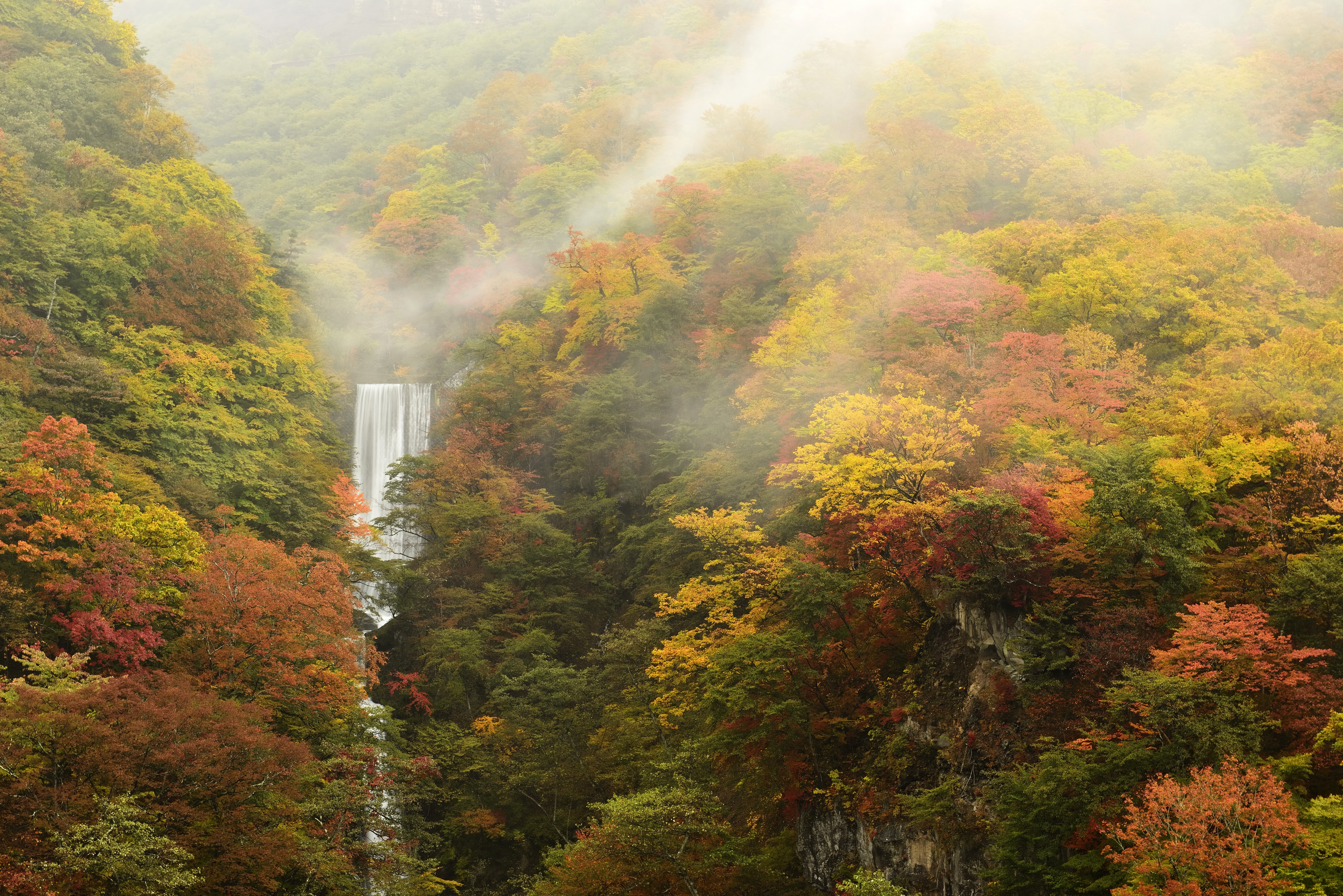 Waterfall in Autumn Forest with Fog HD Wallpaper