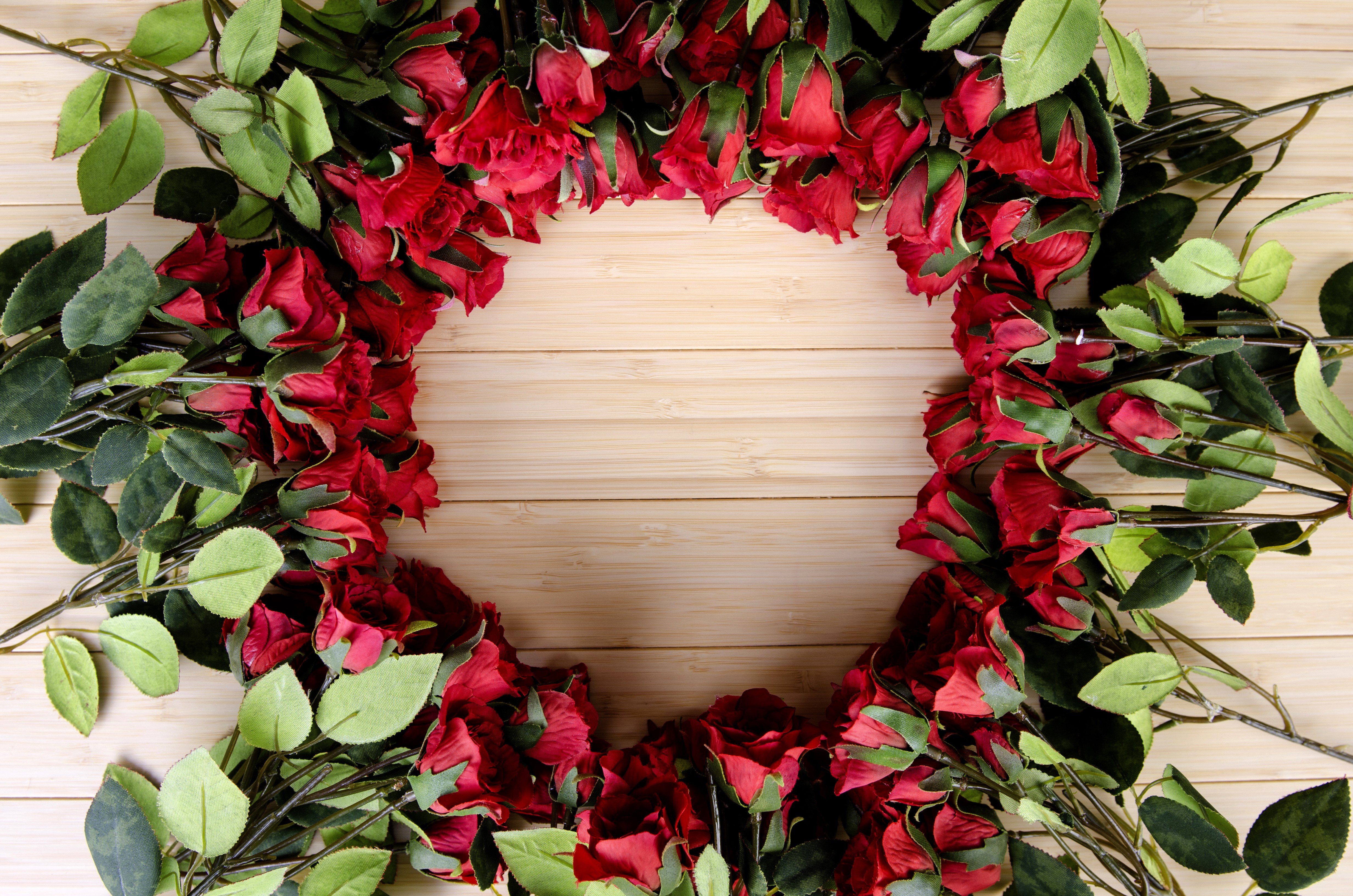 Many red roses arranged in a circle HD Wallpaper