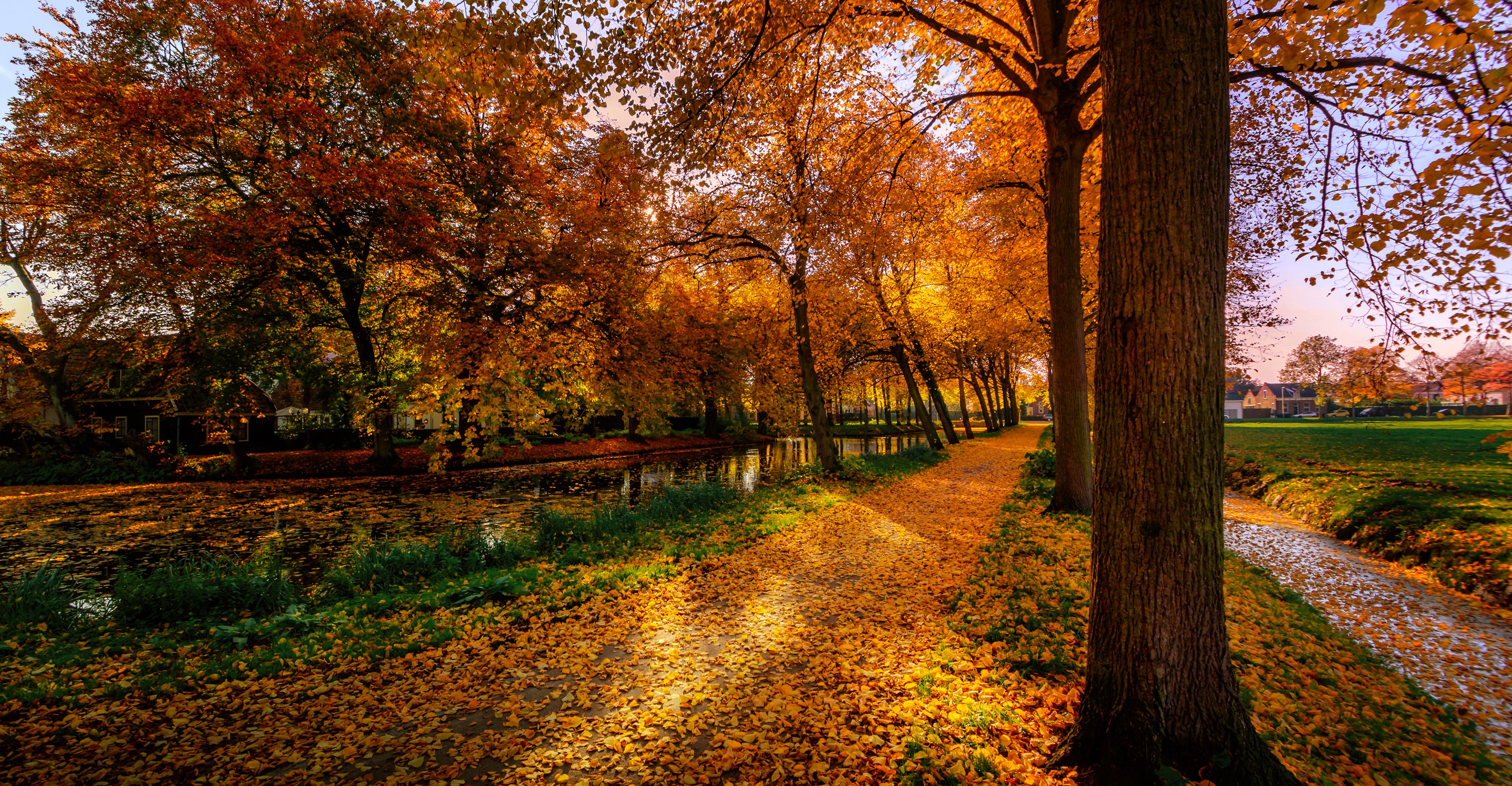 Autumn path along a canal in the Netherlands HD Wallpaper