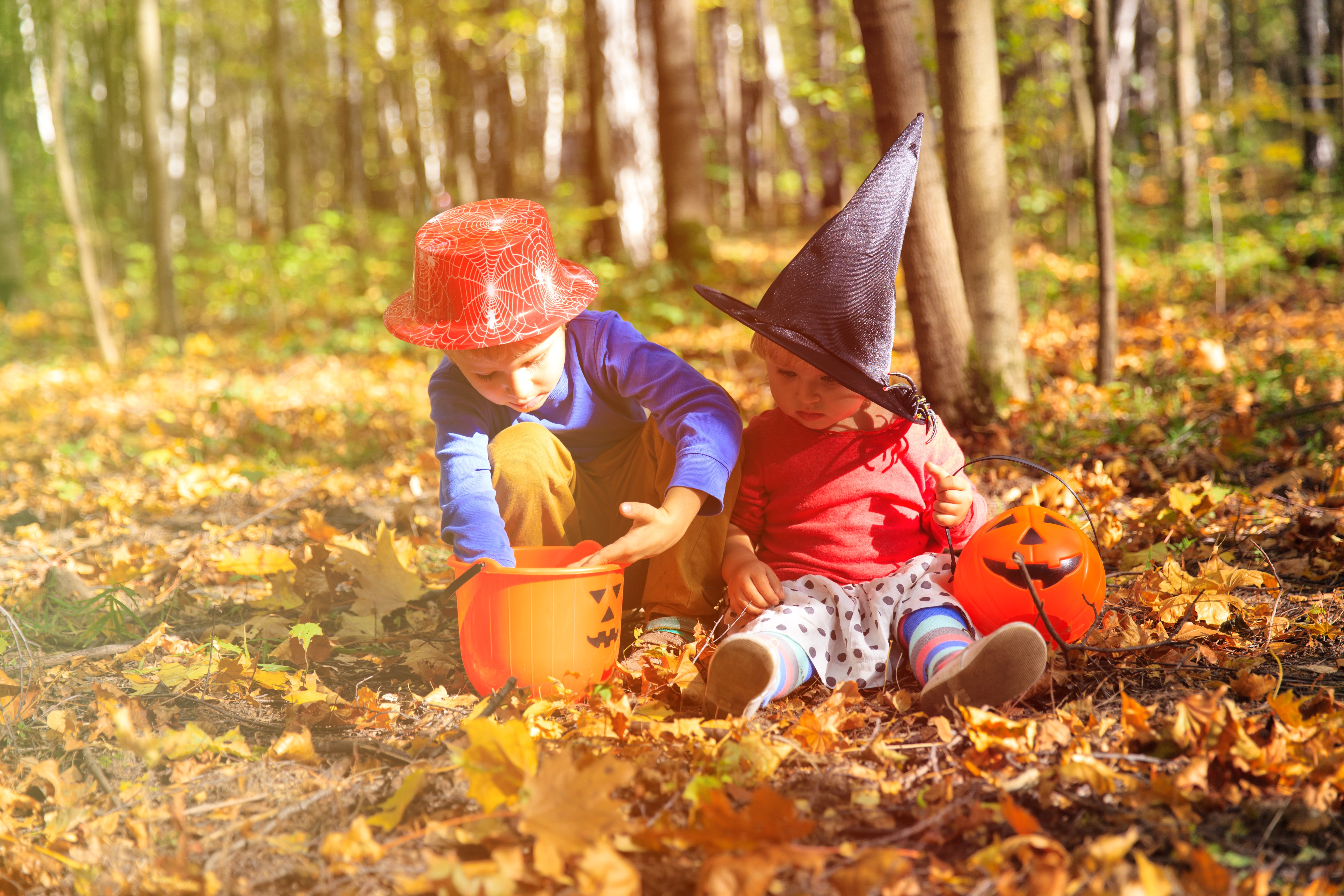 Two Boys in Halloween Costumes in Autumn Forest HD Wallpaper