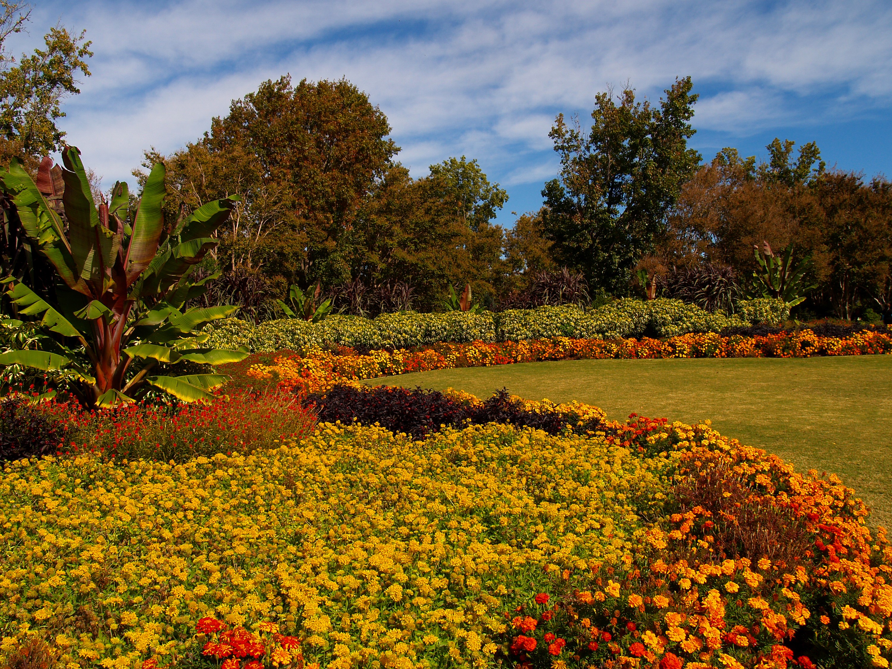 Dallas Arboretum Gardens with Autumn Flowers HD Wallpaper